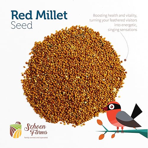 Miniatura 3 de Mijo rojo (5 libras) para pájaros, cardenales, garabatos, trepadores, pájaros carpinteros y pájaros cantores