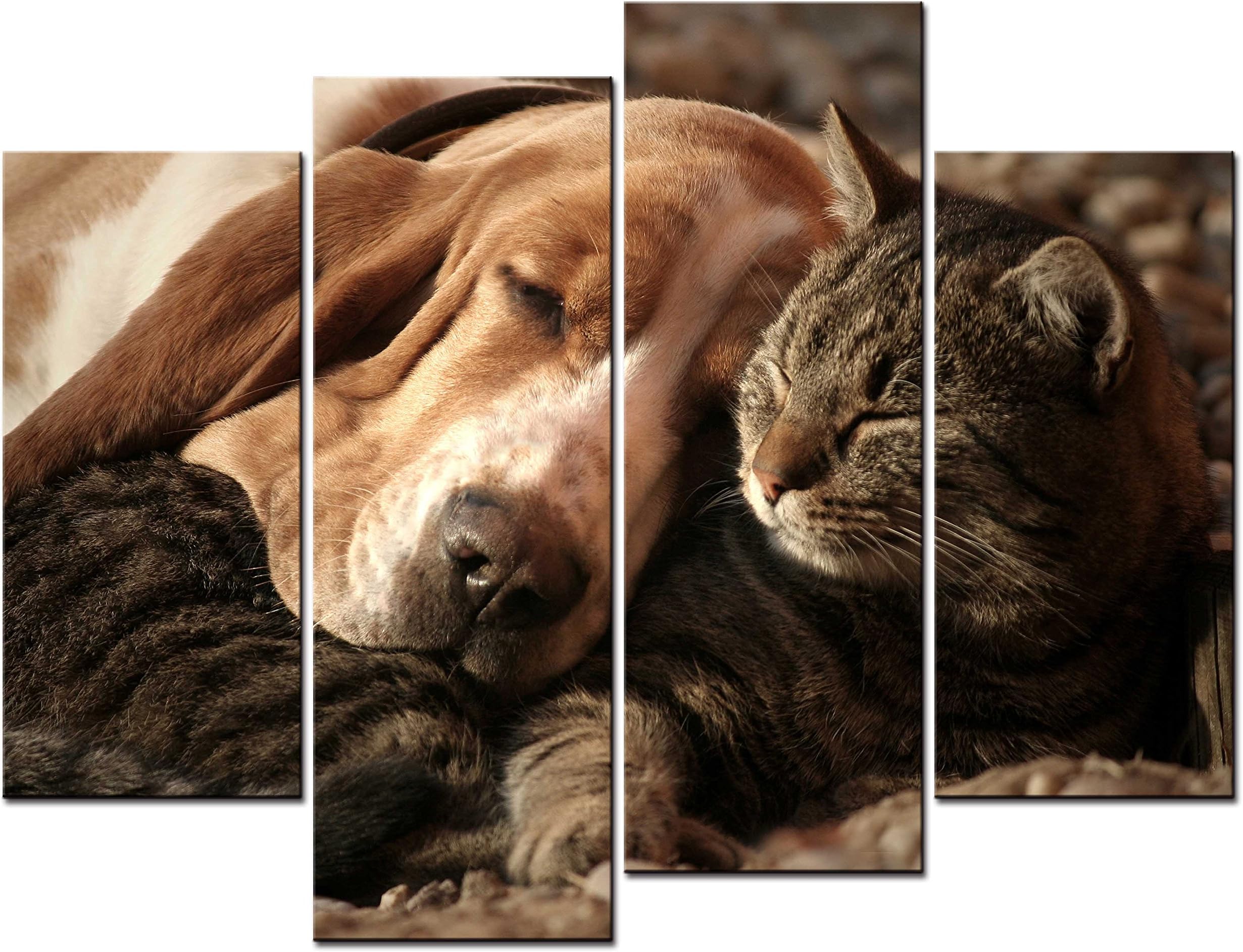 SmartWallArt - 4 Panel Wall Art Painting Cat-01 Picture On Canvas Stretched by Wooden Frames-for Living Room Decor Or As A Gift (01: A Brown Cat and A Dog Sleeping On The Carpet)