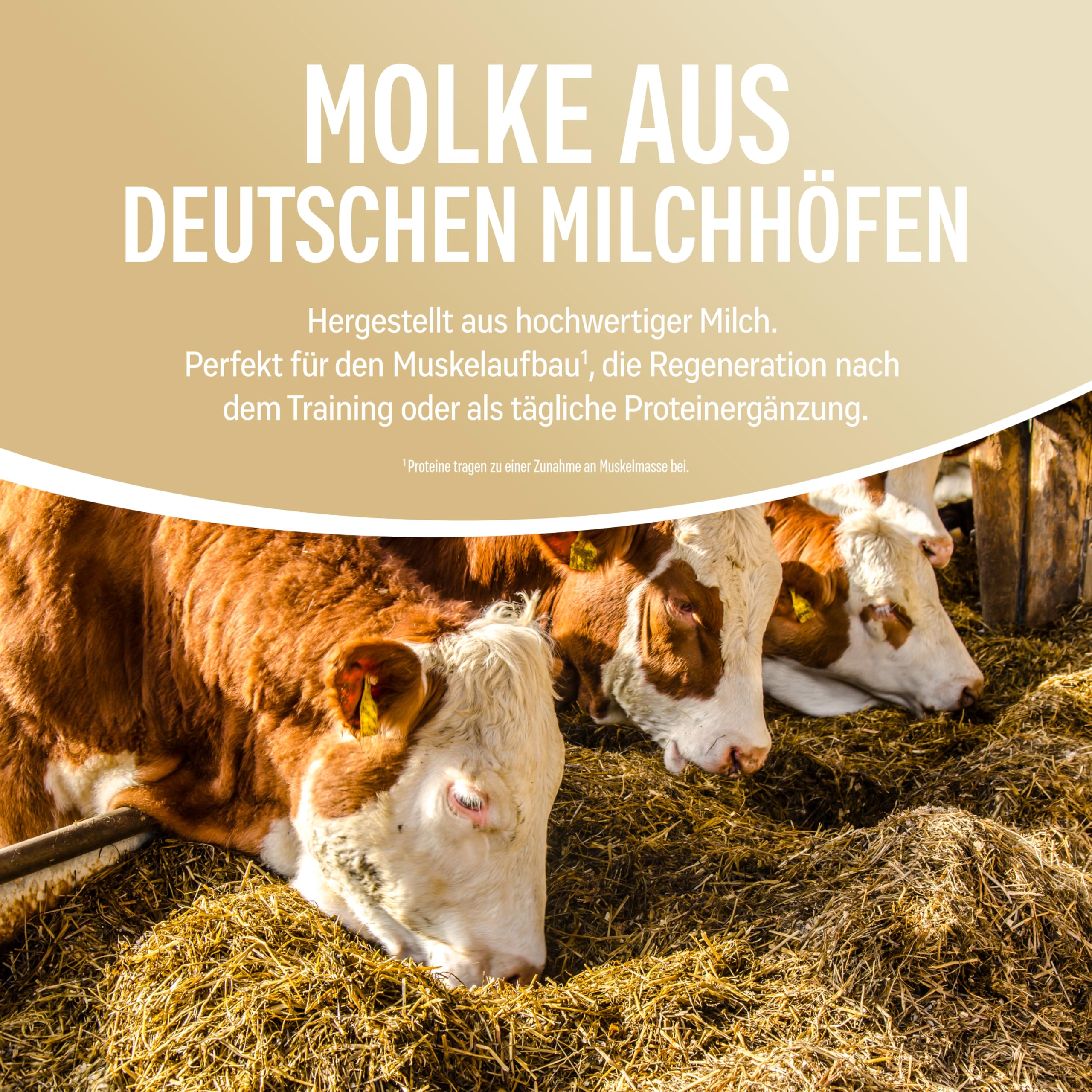 NATURELETICS VANILLE Whey Protein Ungesüßt ohne Süßstoffe und Zuckerzusatz Natürliches Premium Eiweißpulver, 1kg ohne Aspartam & Sucralose, Low Carb, Hoher BCAA-Anteil, Made in Germany