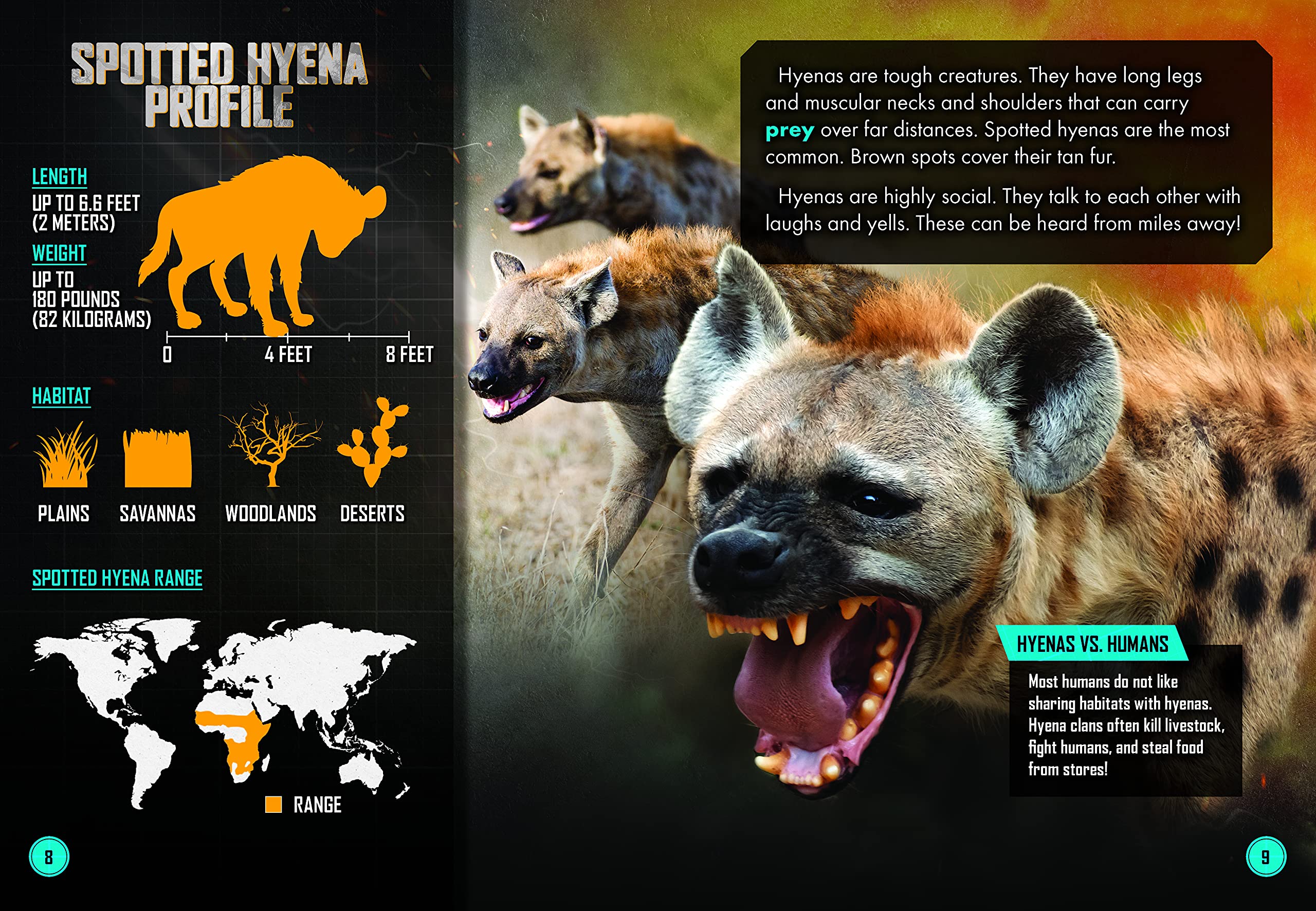 Lion Vs. Hyena Clan
