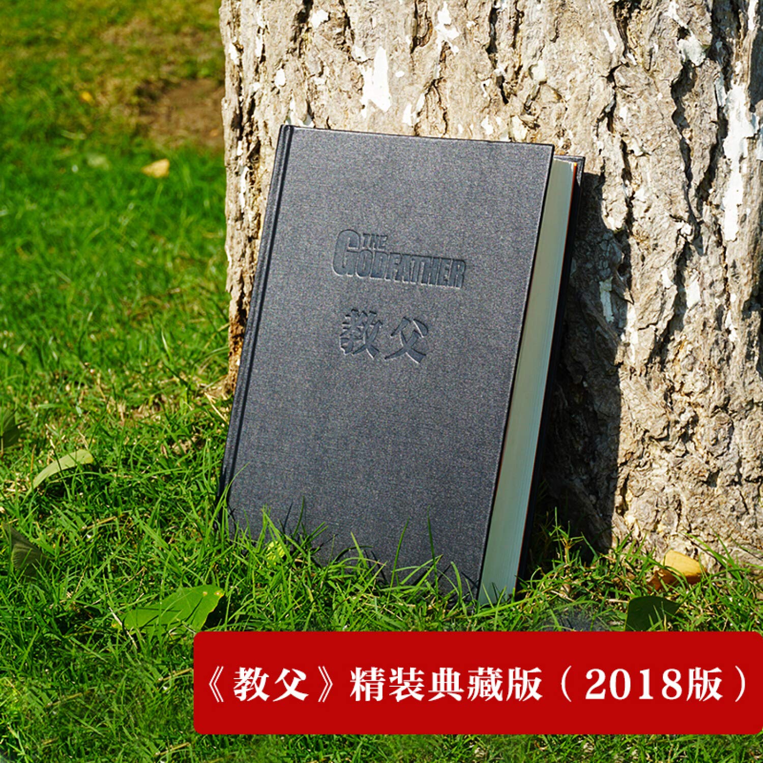 教父（精装典藏版）      Paperback – June 1, 2018