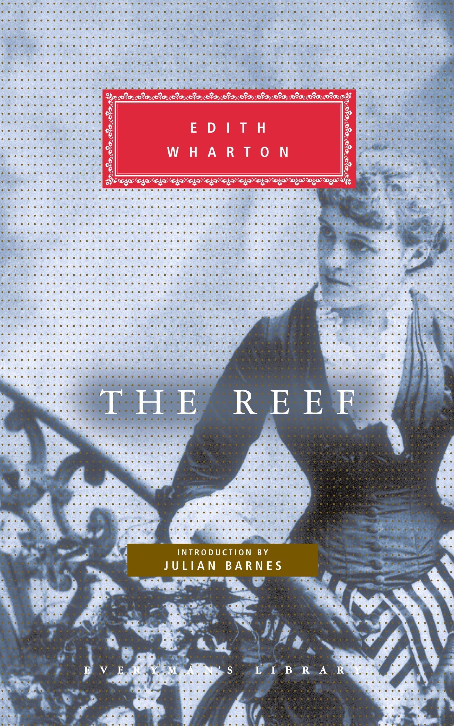 Buy The Reef: Introduction by Julian Barnes — BookShops.in
