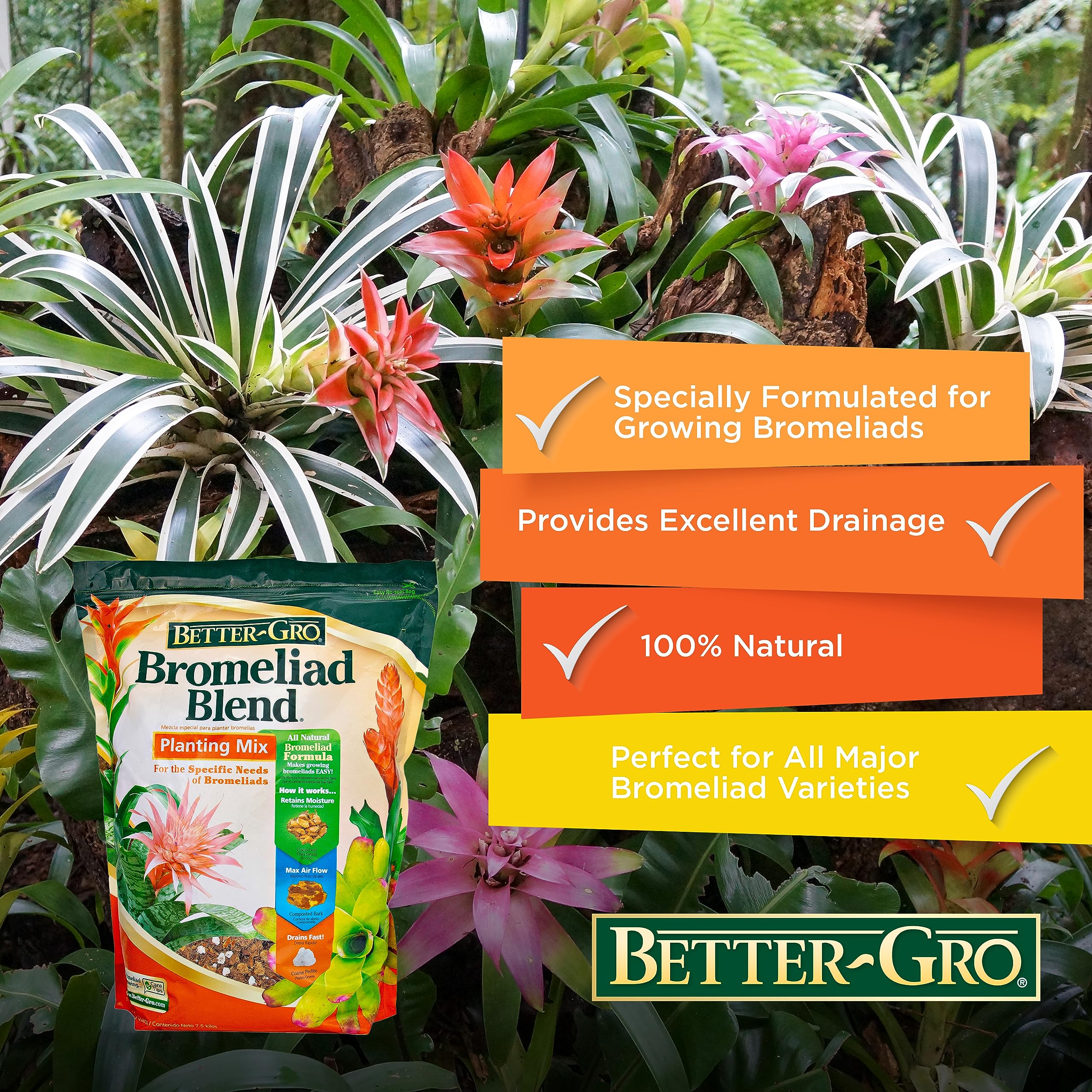 Better-Gro Mezcla de bromelia de 8 Cuartos de galón