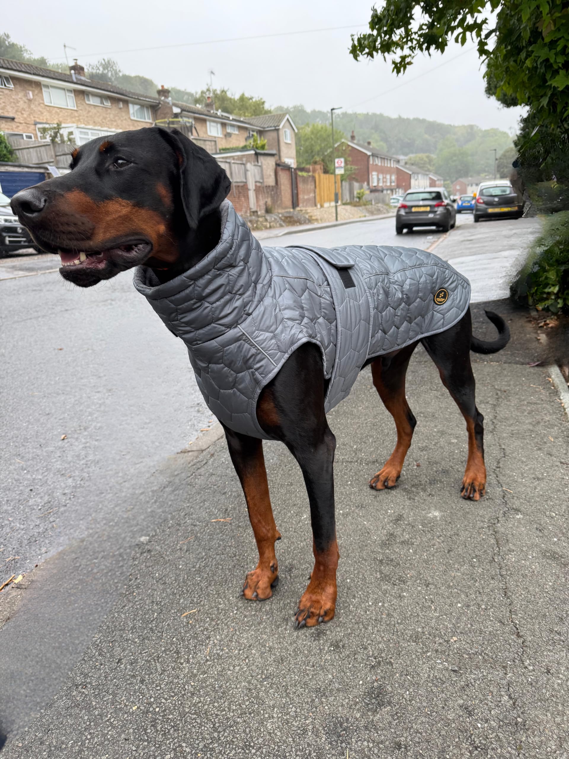 Urban Paws Collective® Luxury Waterproof Dog Coat, Reflective, Thermal, Adjustable Winter Jacket - Image 3
