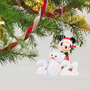 91vUjKE64oS._AC_UF350,