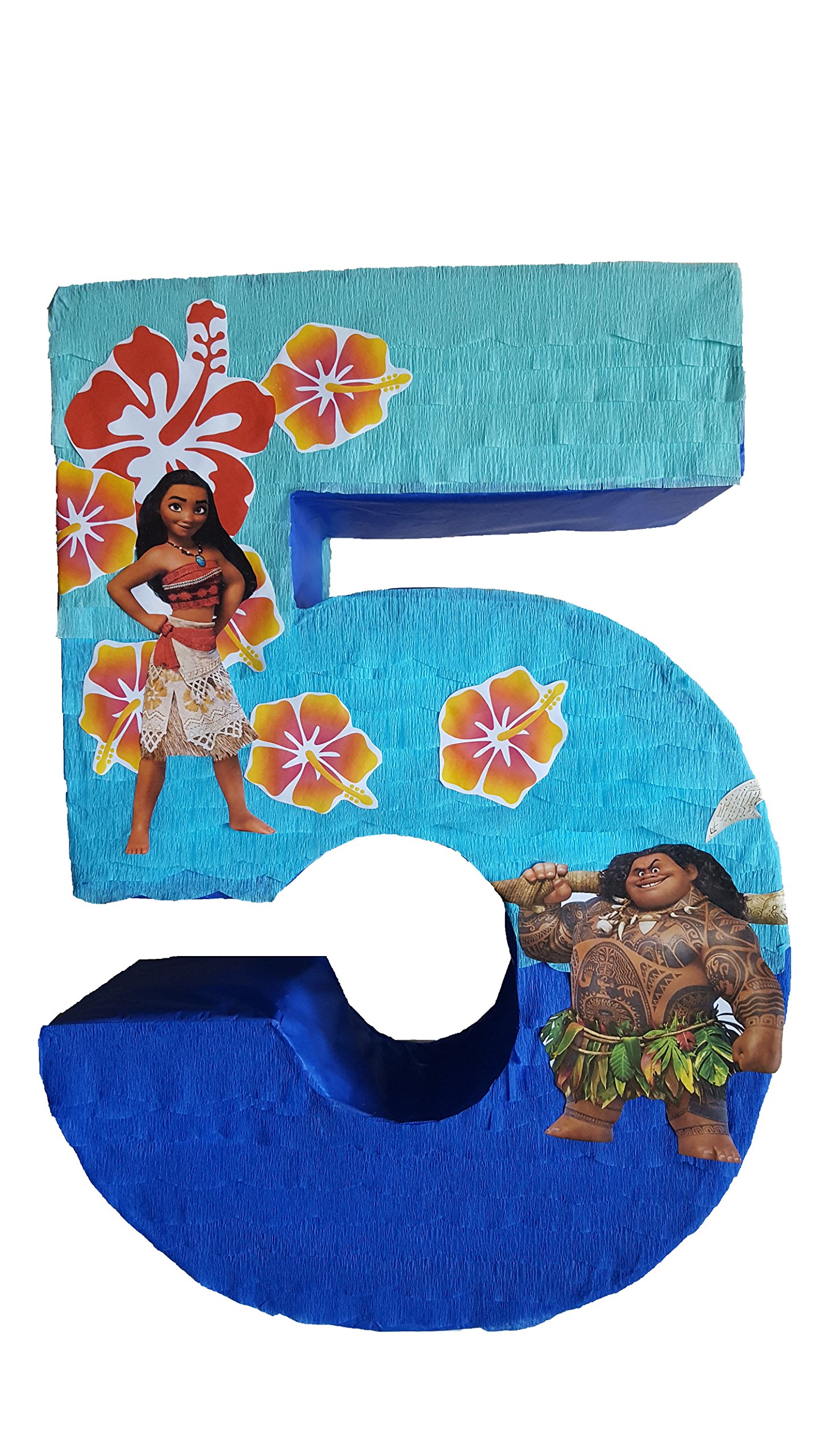 ⭐️MOANA⭐️さま専用です Disney Store Moana Limited Edition of 5500 Doll 16'' New