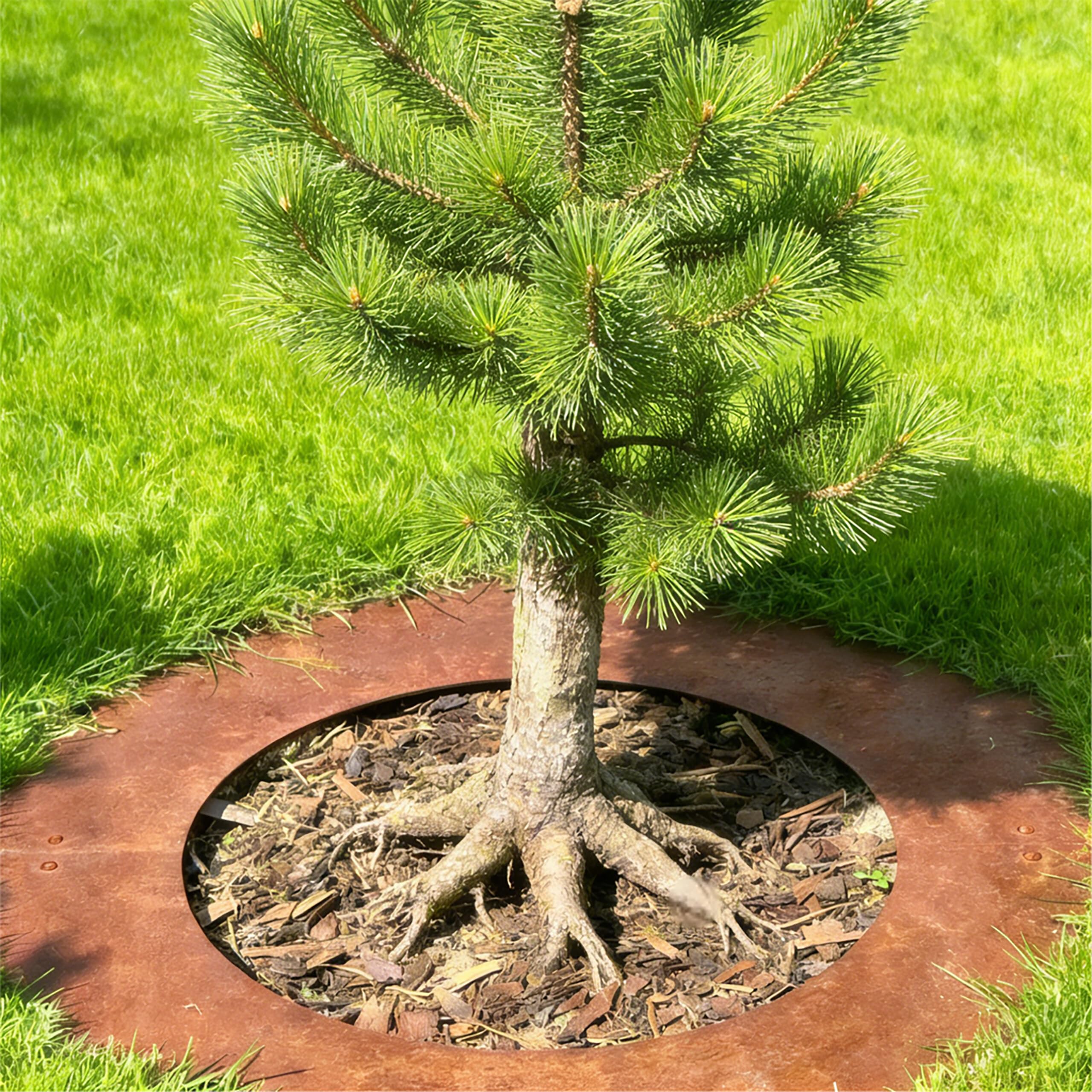 Relaxdays Anneau d'arbre, Patine, Tronc d'arbre, Bordure de pelouse, Arbres et arbustes, Ø 50 cm, Anneau de Plantation de Jardin, en Acier Corten, Marron - 2