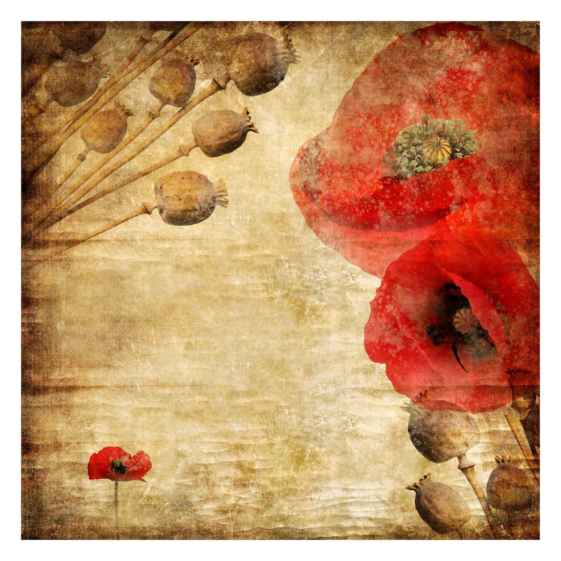 Papier peint panoramique coquelicot pour grand salon rétro chaleureux