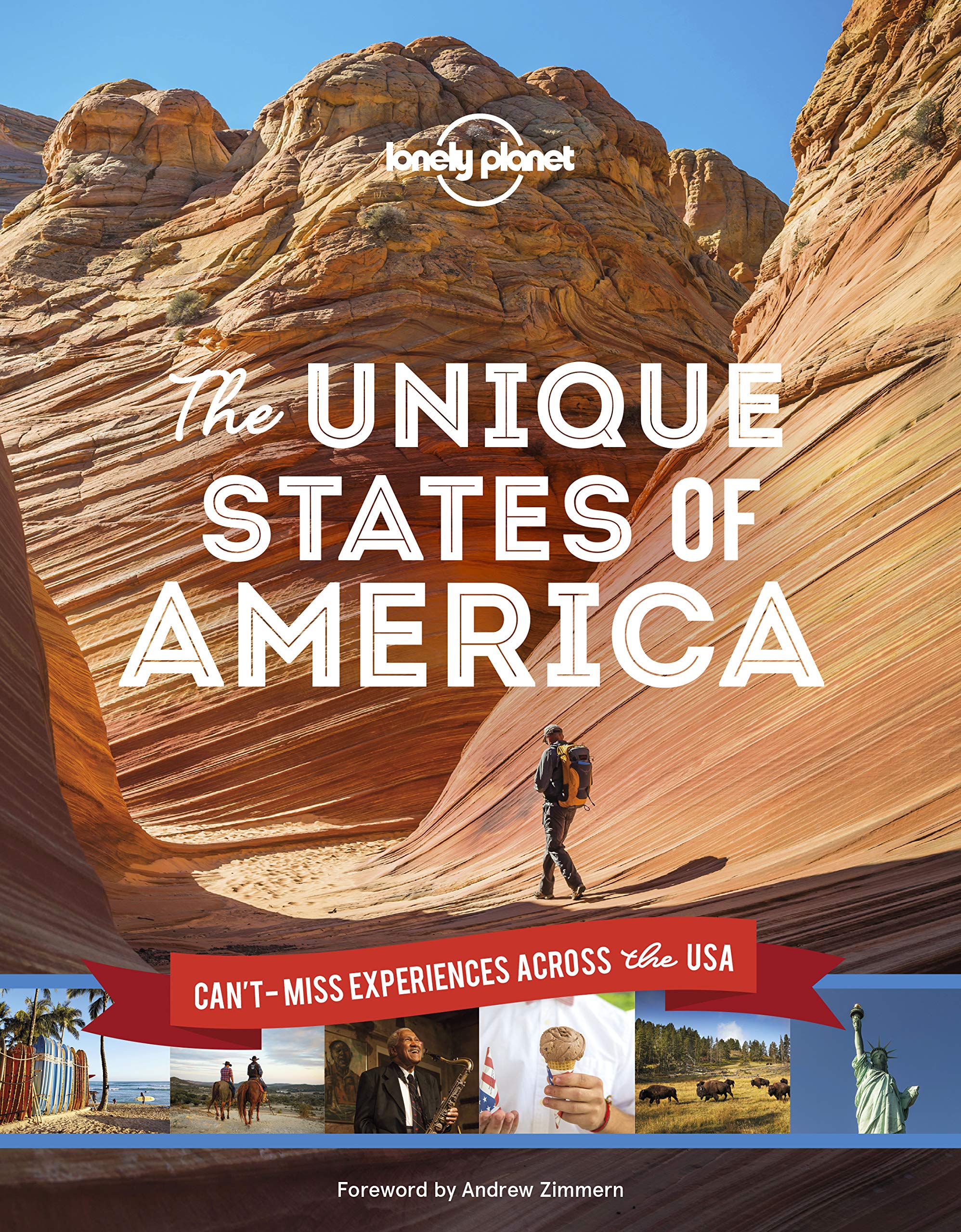 The Unique States of America (Lonely Planet) Hardcover – September 17, 2019