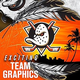 Franklin Sports Anaheim Ducks NHL Team Logo Mini Hockey Goalie Mask with Case - Collectible Goalie Mask with Official NHL Logos and Colors