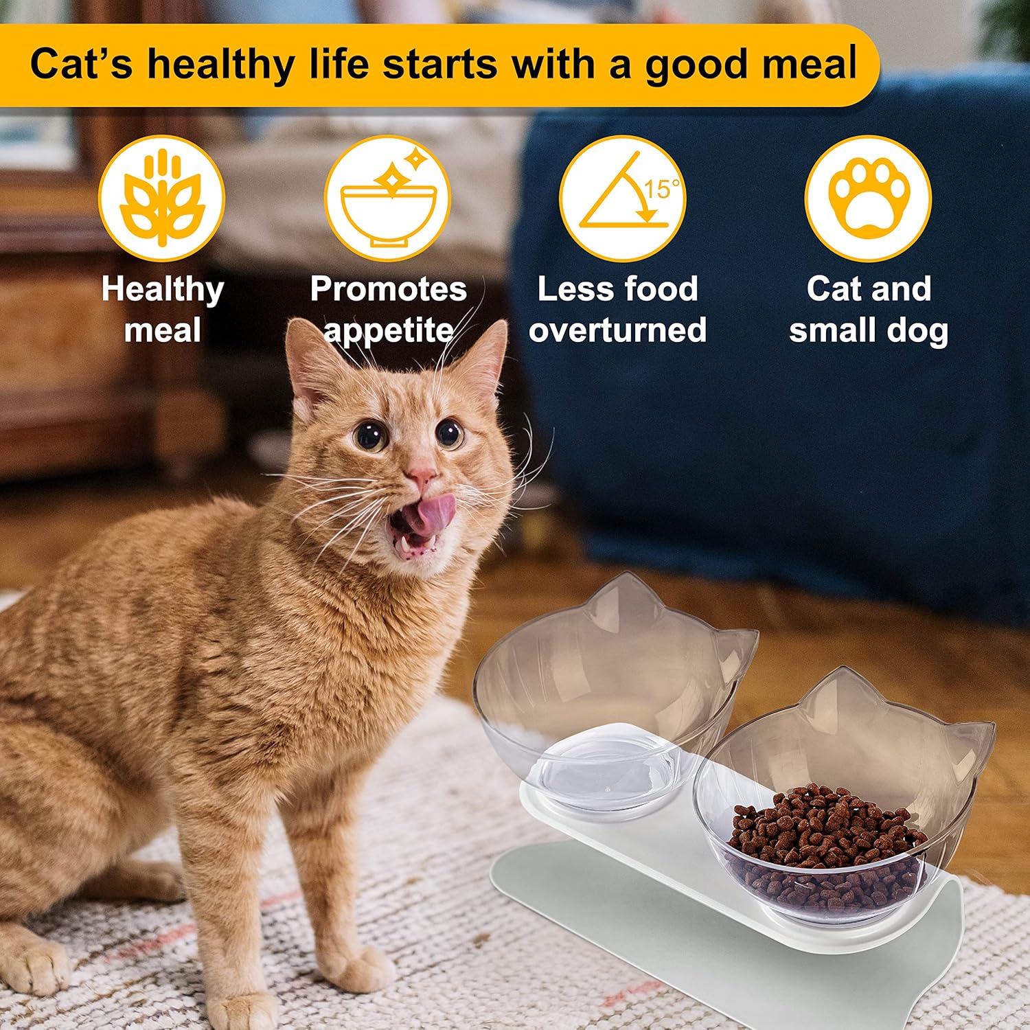 Cat Bowls with Stand Tilted 15° - Raised Cat food bowl with scoop, Anti over-turned and Anti spill Tilted Cat Bowl, Feeding and Water Supplies for Cat 8 91vVELhiPVL. AC SL1500
