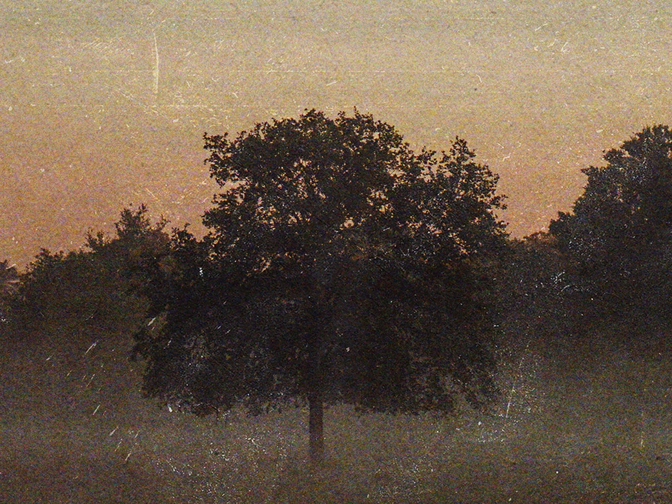 Stewart Park Quartet