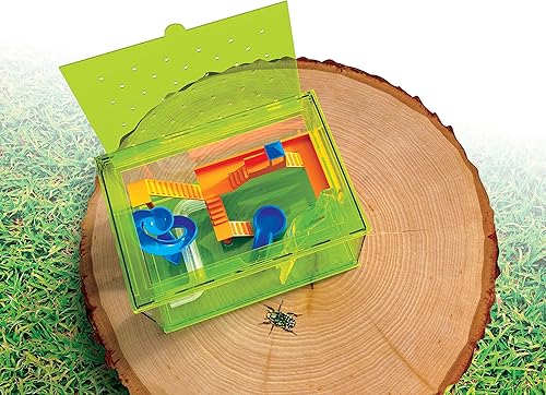 Miniatura 4 de Juegos de insectos juguetes SmartLab