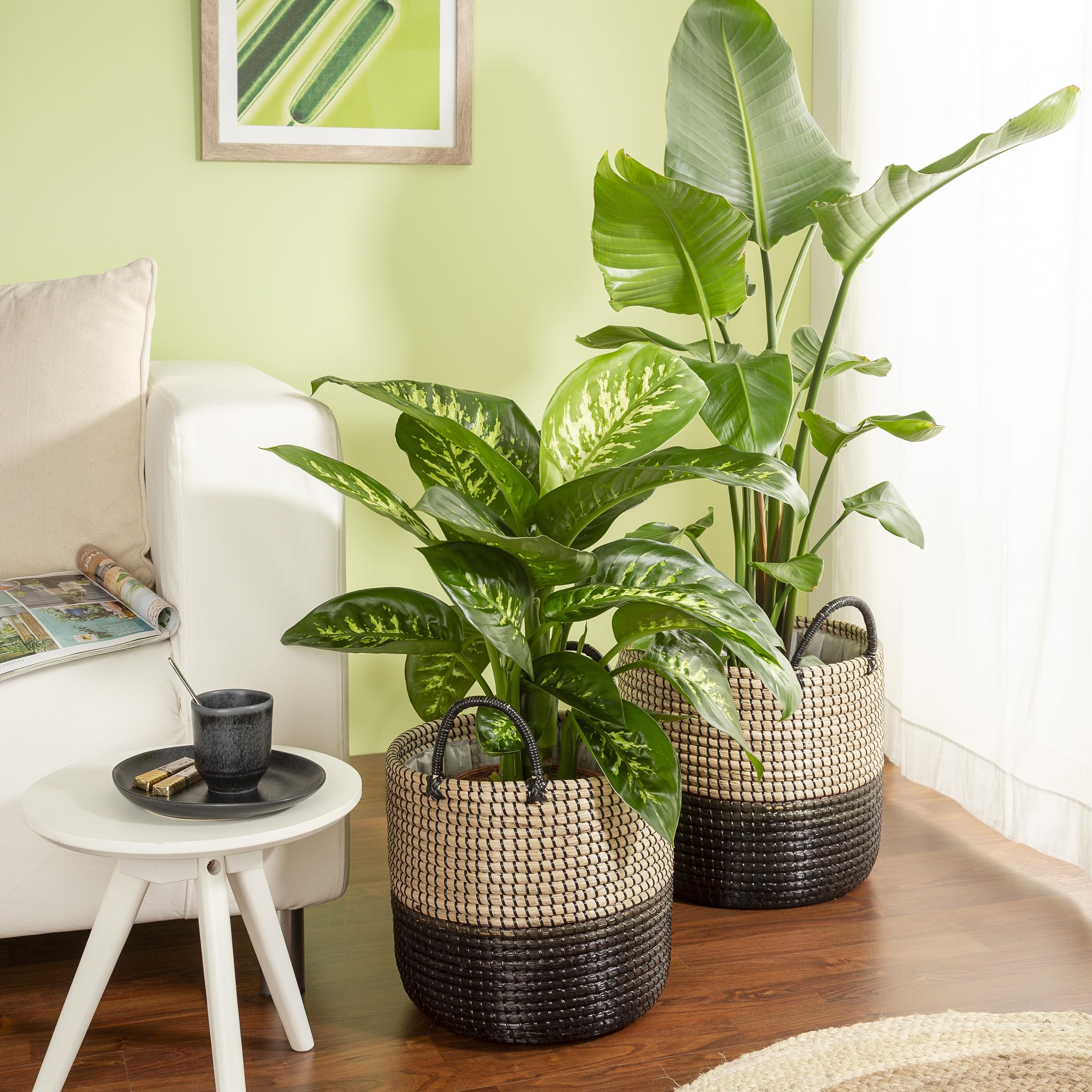 Scheurich Jonc de mer 27 - Jardinière en osier avec poignées en jonc de mer - Couleur : noir naturel - Diamètre : 27 cm - Hauteur : 23,5 cm - Volume : 13,1 l