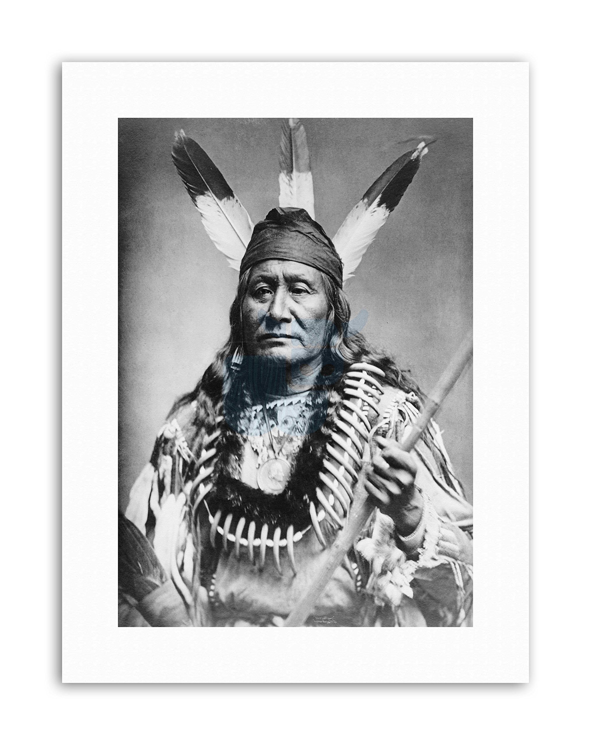 Wee Blue Coo Rushing Eagle Sioux Native American Picture Vintage Portrait Canvas Art Print