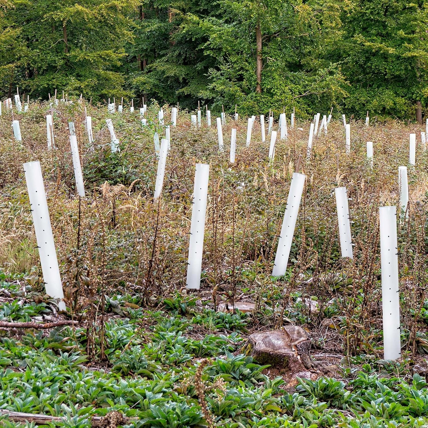 10 Pack 48 Inch Tree Seedling Sapling Grow Tubes Standard Vented Seedling Protectors Split Tree Grow Protector with Releasable Zip Tie Plant Shelter for Cuttings Outdoor (White)