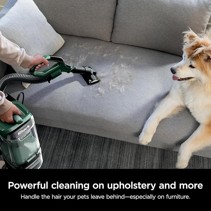 Aspiradora Vertical con Filtro HEPA, Potente Succión y Tecnología Anti-Olores miniatura 3