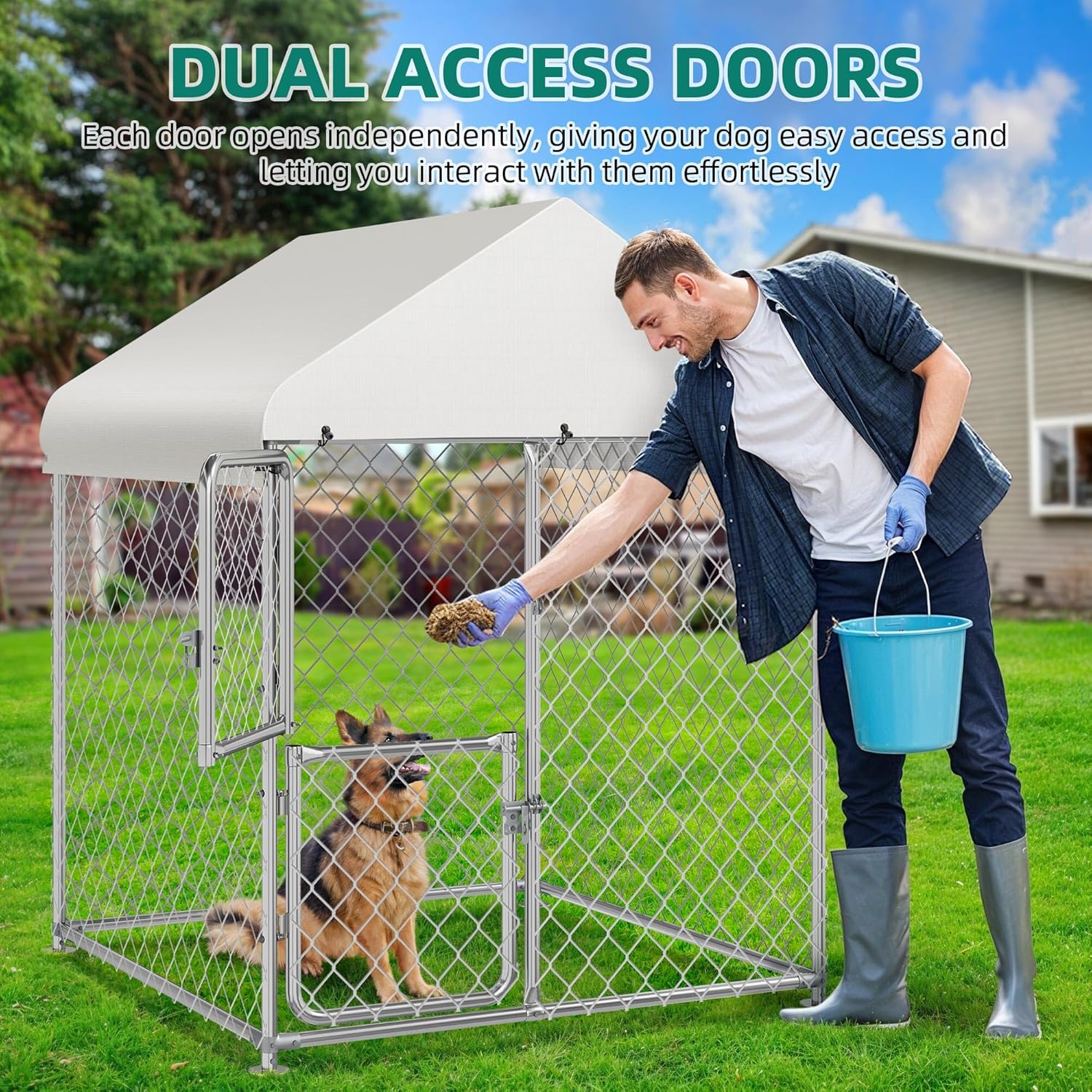 Build Your Dog