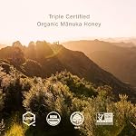 Three Peaks Manuka Honey Organic Raw UMF 15+ (MGO 550+), USDA Organic, Non-GMO, Certified UMF, Monofloral, 3rd-Party Tested, Traceable Hive to Jar, New Zealand, 250 Gram