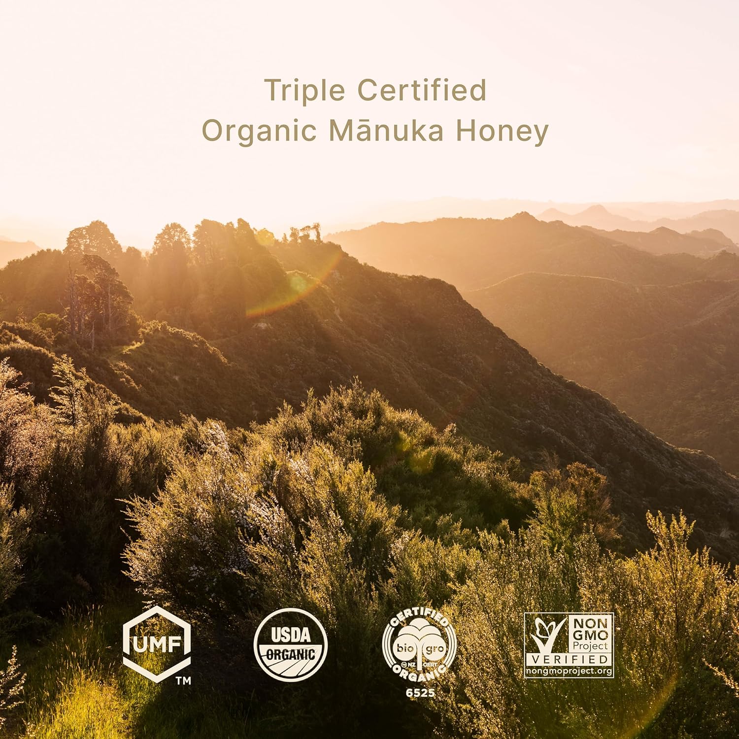 Manuka Honey Organic - Three Peaks Raw UMF 10+ (MGO 300+) – USDA Organic, Non-GMO, Certified UMF, Monofloral, 3rd-Party Tested, Traceable Hive to Jar – New Zealand (8.8 oz)