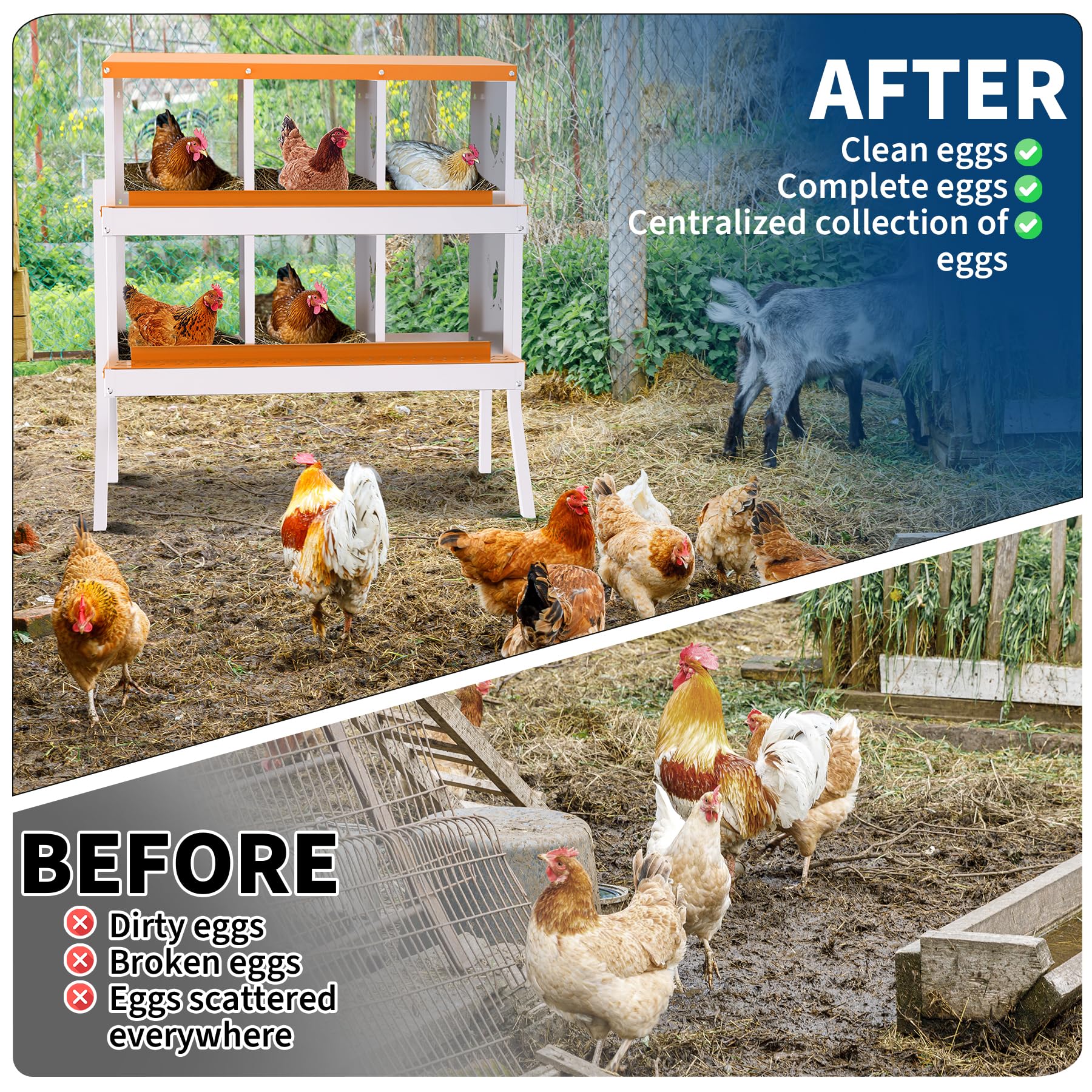 Garvee Nido per Galline Ovaiole a 6 Scomparti, Cassetta Nido in Acciaio Zincato con Supporto e Vassoio Estraibile, Design Roll-away per Raccolta Uova Sicura, Antiruggine e Durevole, Arancione