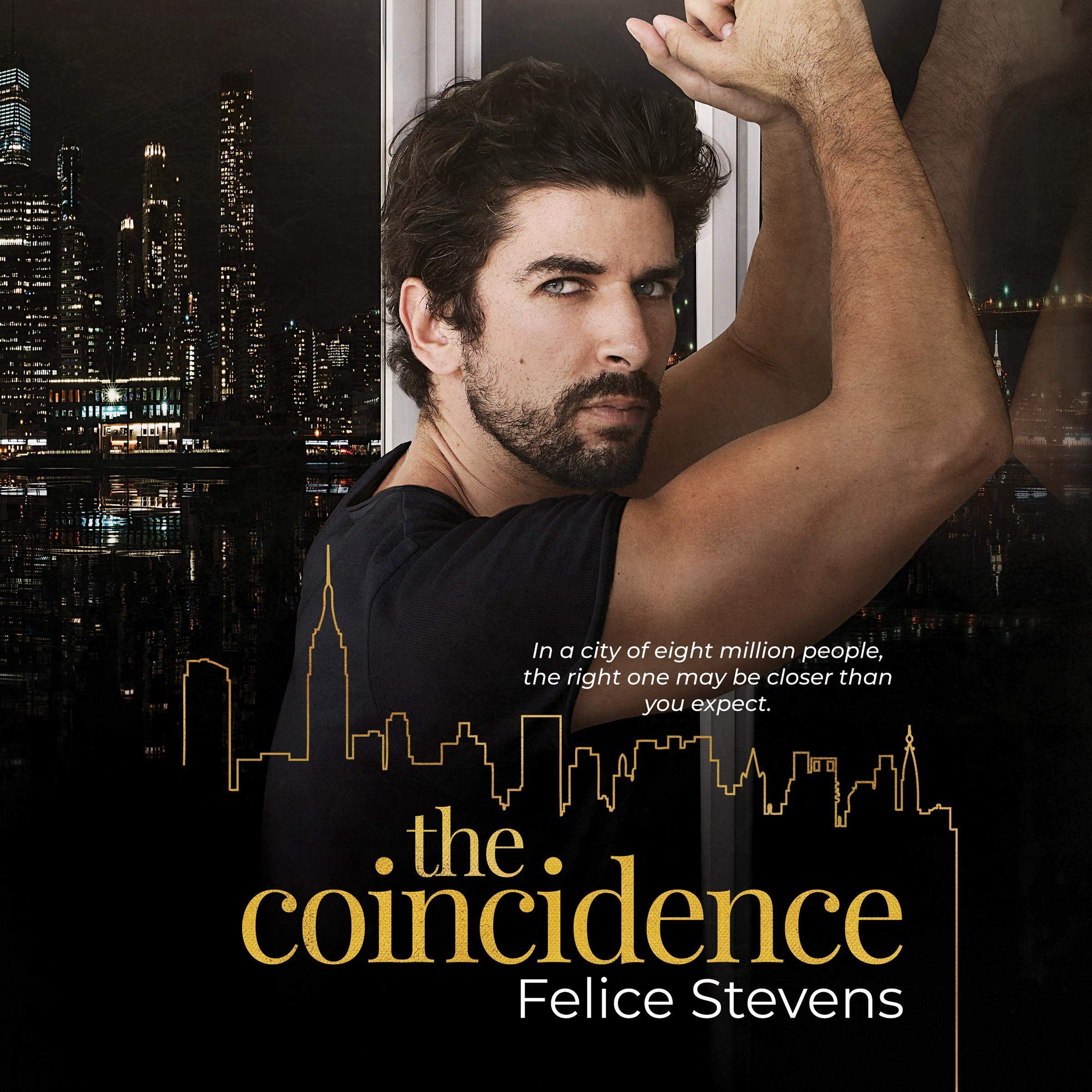 Cover art for The Coincidence
