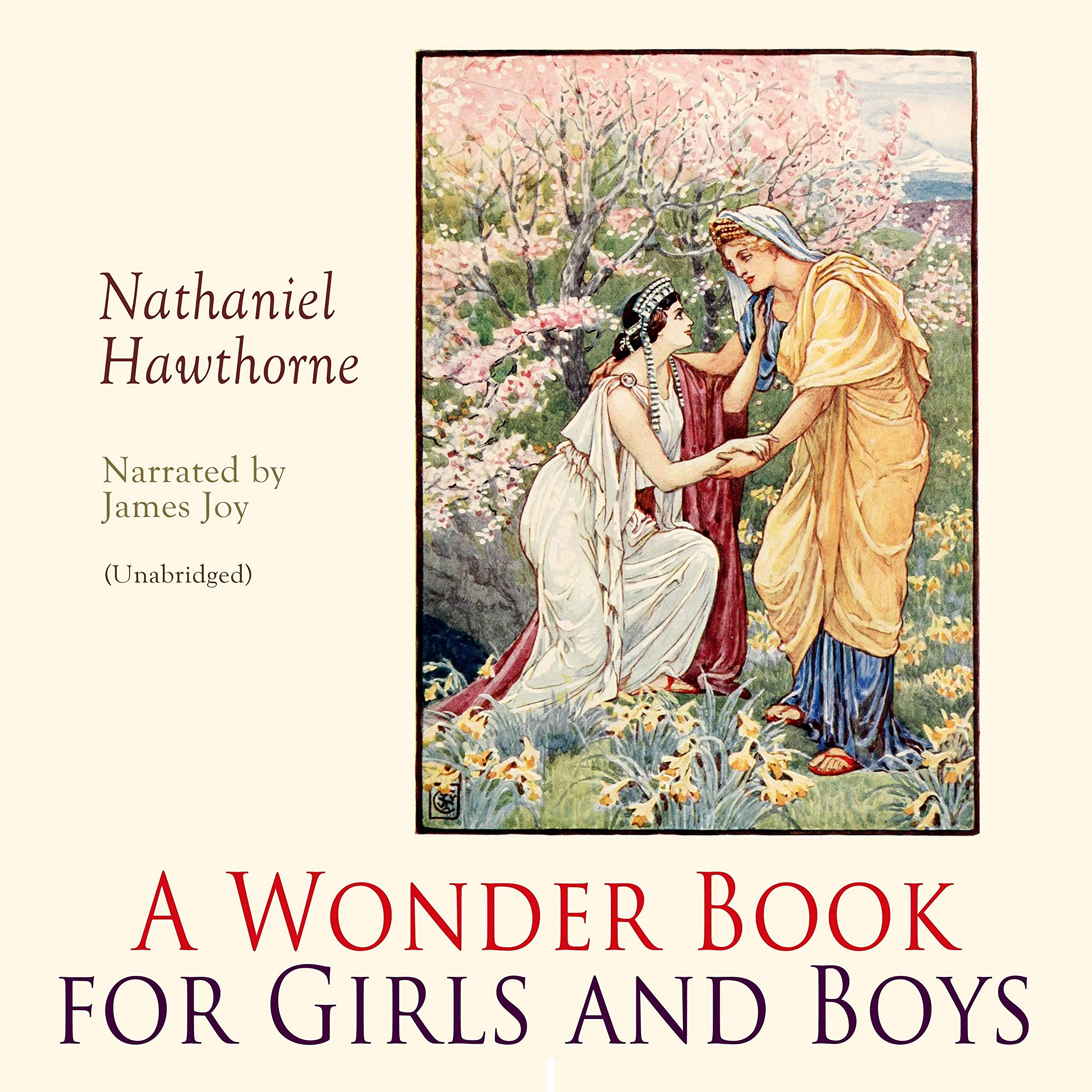 Cover art for A Wonder Book for Girls and Boys