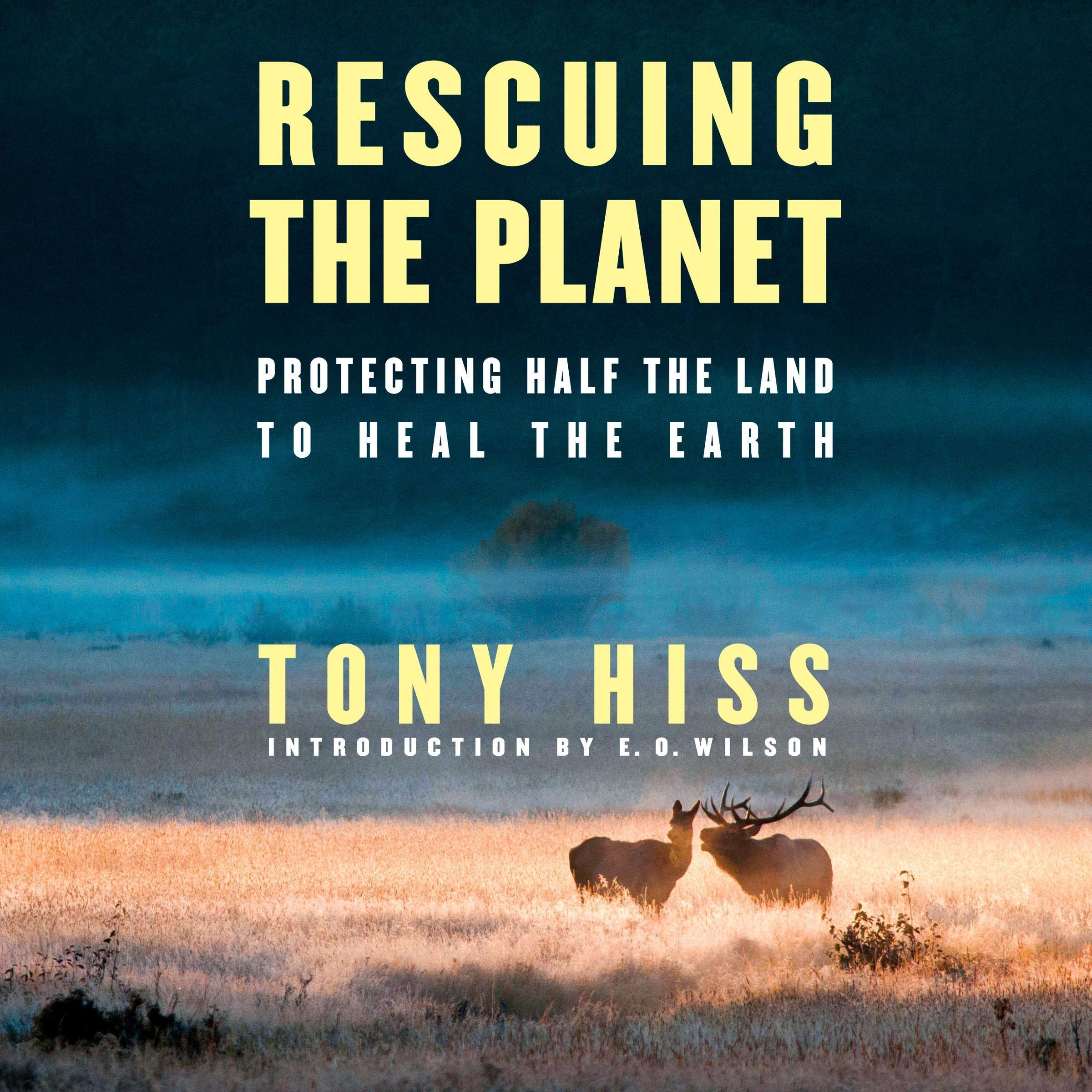 Cover art for Rescuing the Planet