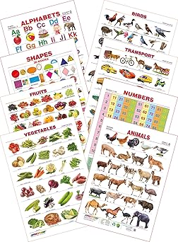 Spectrum Educational Mini Wall Chart (Set of 8) : Set 2 ( English Alphabets , Birds , Fruits , Domestic Animals , Vegetables , Transport , Shapes & Numbers 1-100 ) [Wall Chart] Spectrum