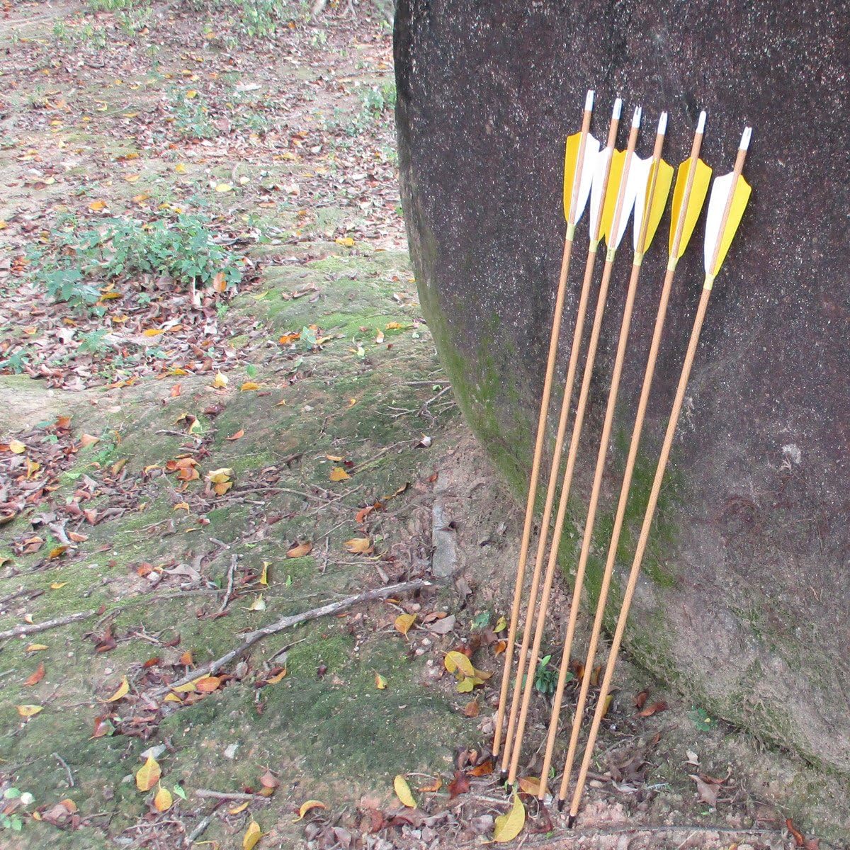 500 Spine Carbon Arrows with 4 Inch Feathers Fletching for Compound Recurve Bows (12 Pack)