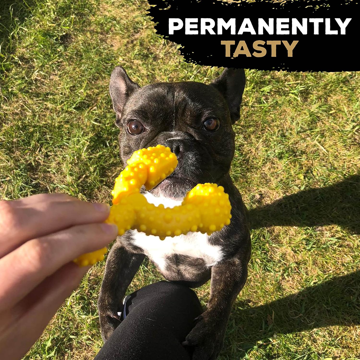 TastyBone TrioBone Nylon Dog Chew Toy for Toy Dogs (Chicken) - Indestructible for Aggressive Chewers, Everlasting Flavour, Strong Healthy Teeth, Made in the UK