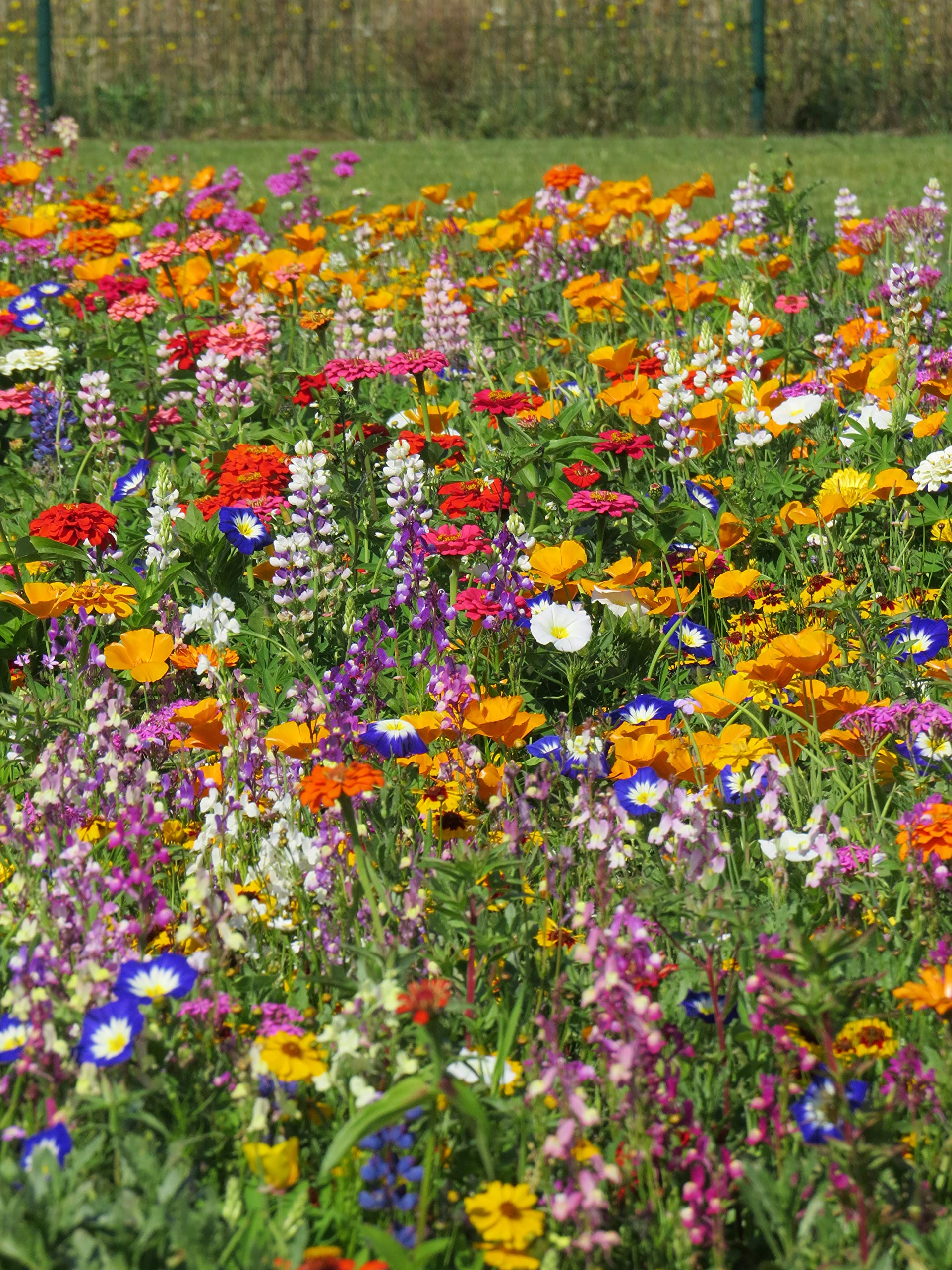 Blumenwiese Vielfarbiger Mini-Teppich Z901 (250 g)