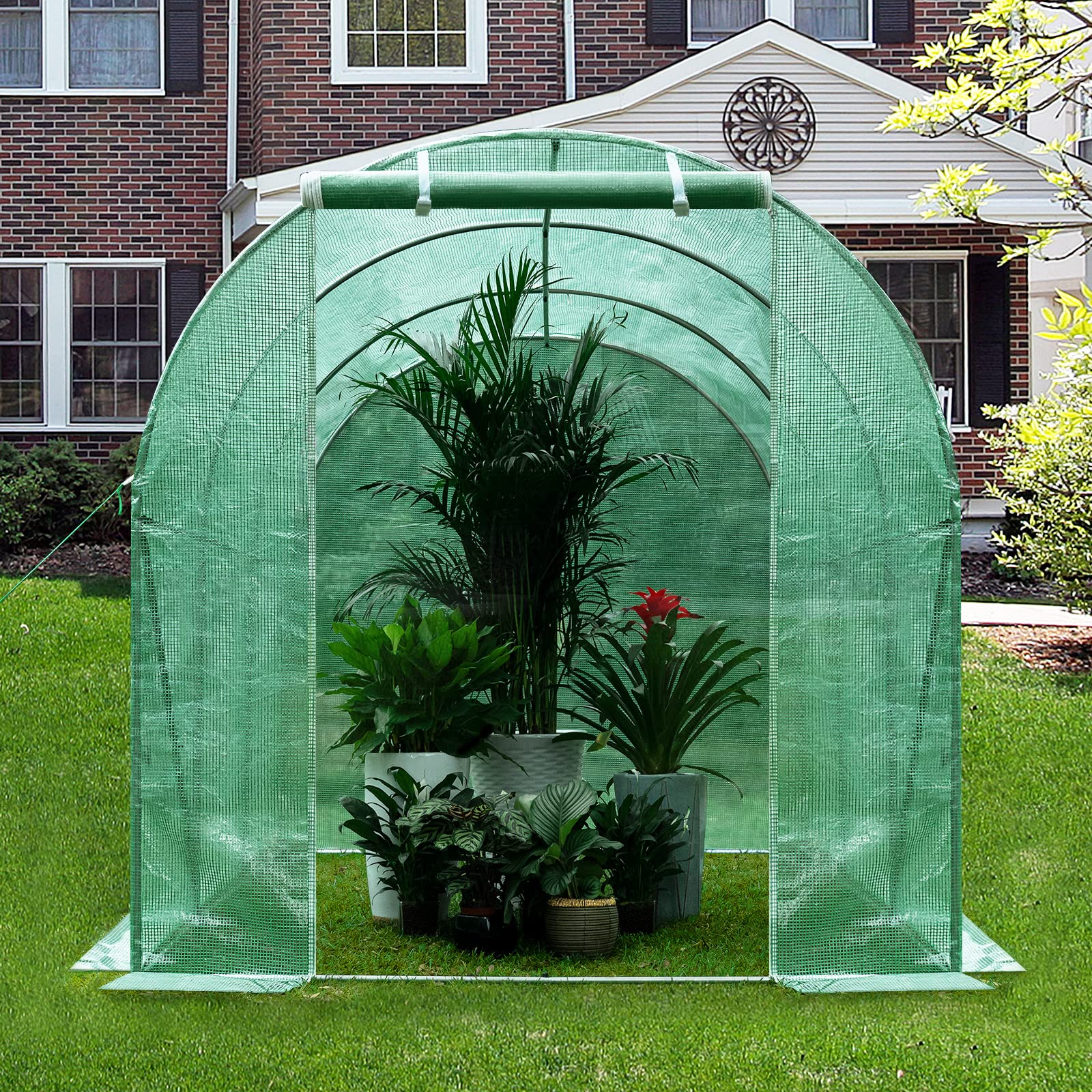 WOLTU Gewächshaus, Foliengewächshaus für Aufzucht Tomaten, Tomatenhaus Winterfest mit Tür 6 Fenstern, aus Stahlrohr PE, 200 x 200 x 300 cm, Grün