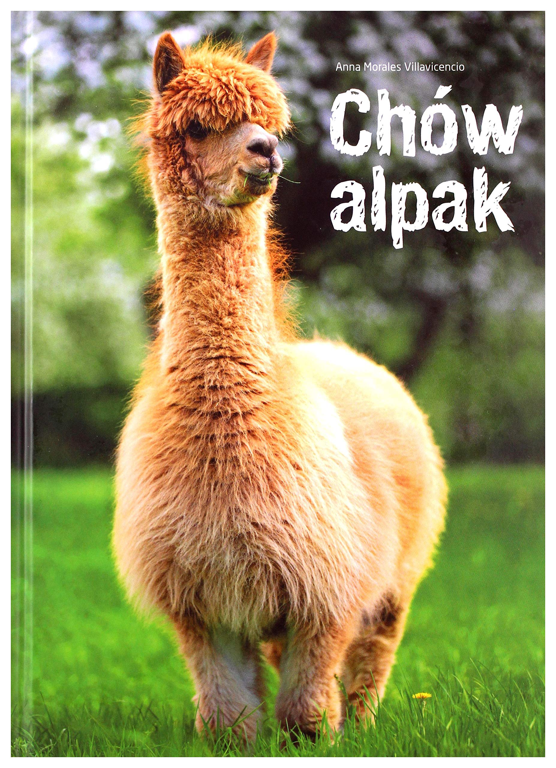 ChĂlw alpak - Morales Anna Villavicencio [KSIÄĹťKA]