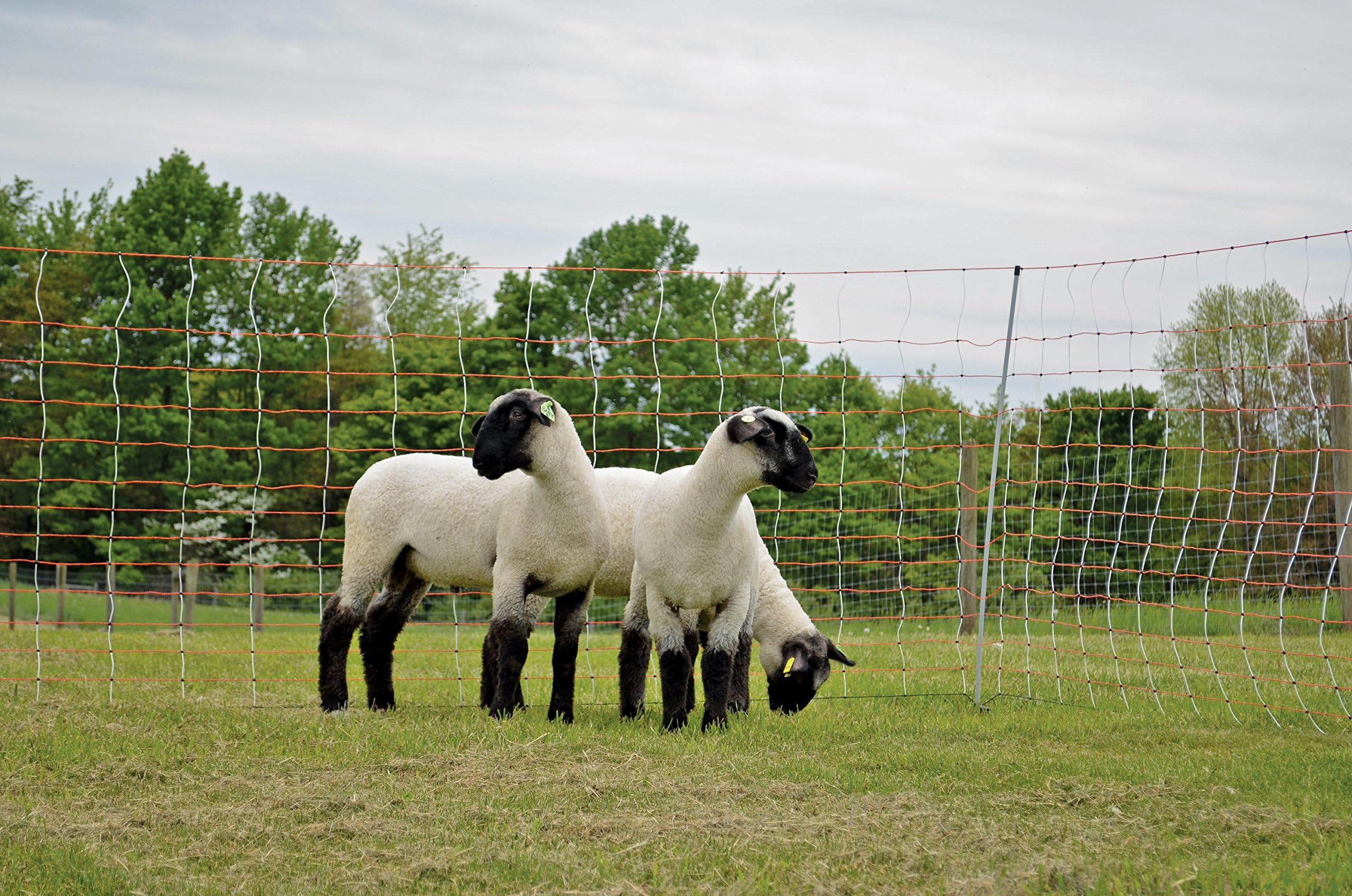 Kencove Electric Net Fence, 48” Height x 164’ Length, 14 Horizontal Lines, 7” Vertical Line Spacing, Orange