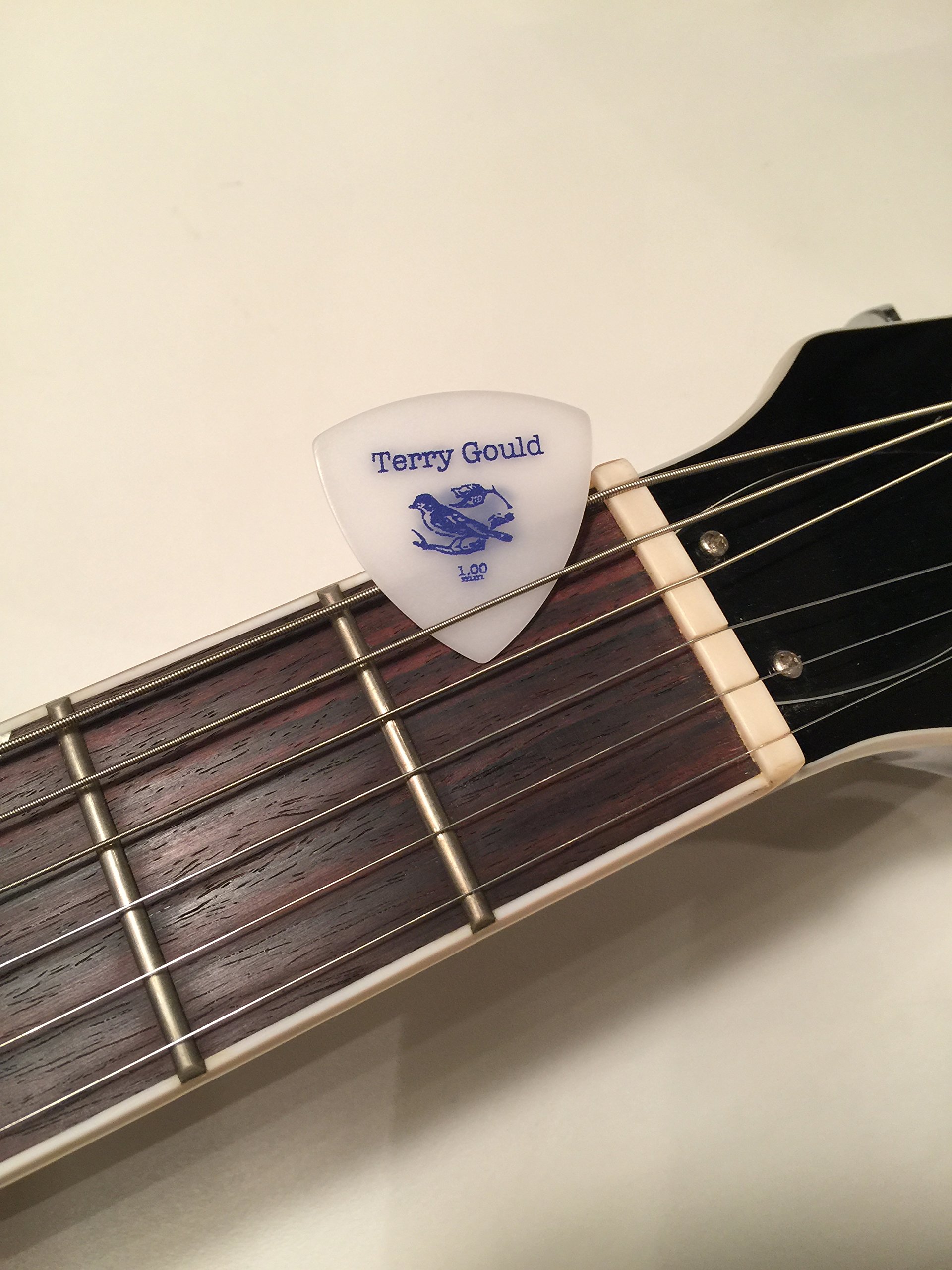 Queen クイーン ゴールド  ギターピック テリーゴールドピック | 製品情報 | 株式会社ナカノ