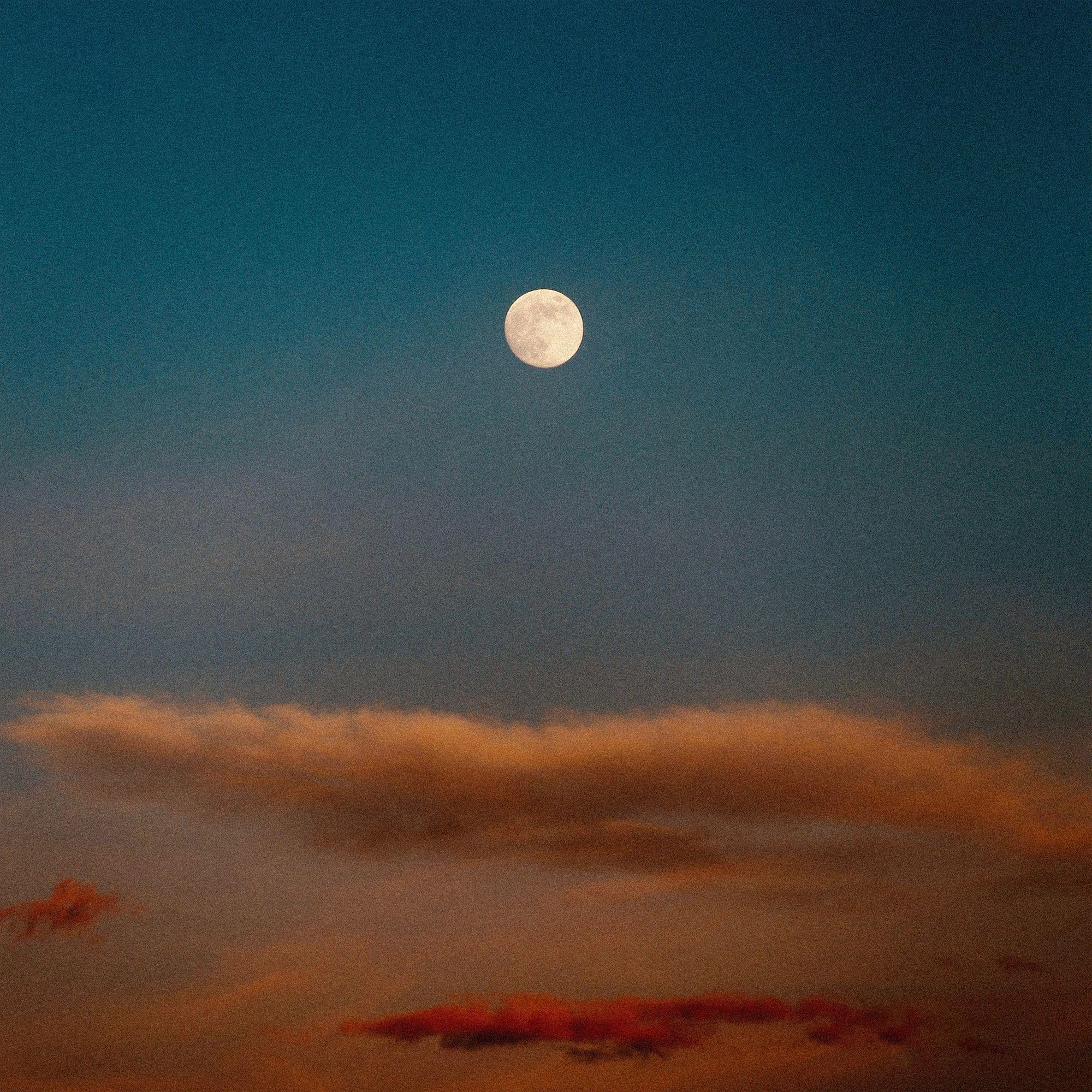 Inner Peace Champions