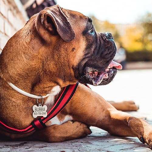 Miniatura 9 de Providence Engraving - Etiquetas de identificación de acero inoxidable con grabado personalizado para mascotas. Etiquetas en tamaño pequeño o