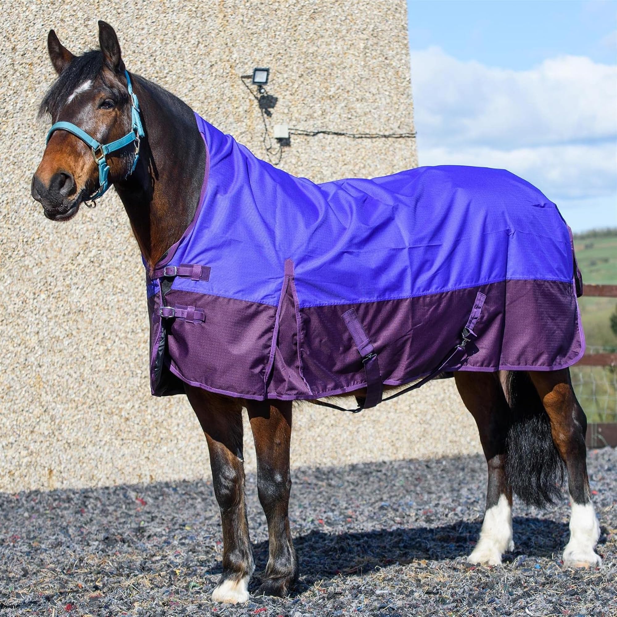 eQuitack 600 Denier Lite Horse Turnout Rug, 6’9” – Half Neck, Waterproof, Lightweight Turnout Rug for Horses 0g No Fill Turnout Rug, Adjustable Leg Straps, Purple/Plum