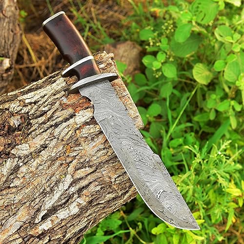 Miniatura 2 de Cuchillo de Damasco personalizado de 15 pulgadas mango de madera Pakka wmarrón funda de cuero TJ117