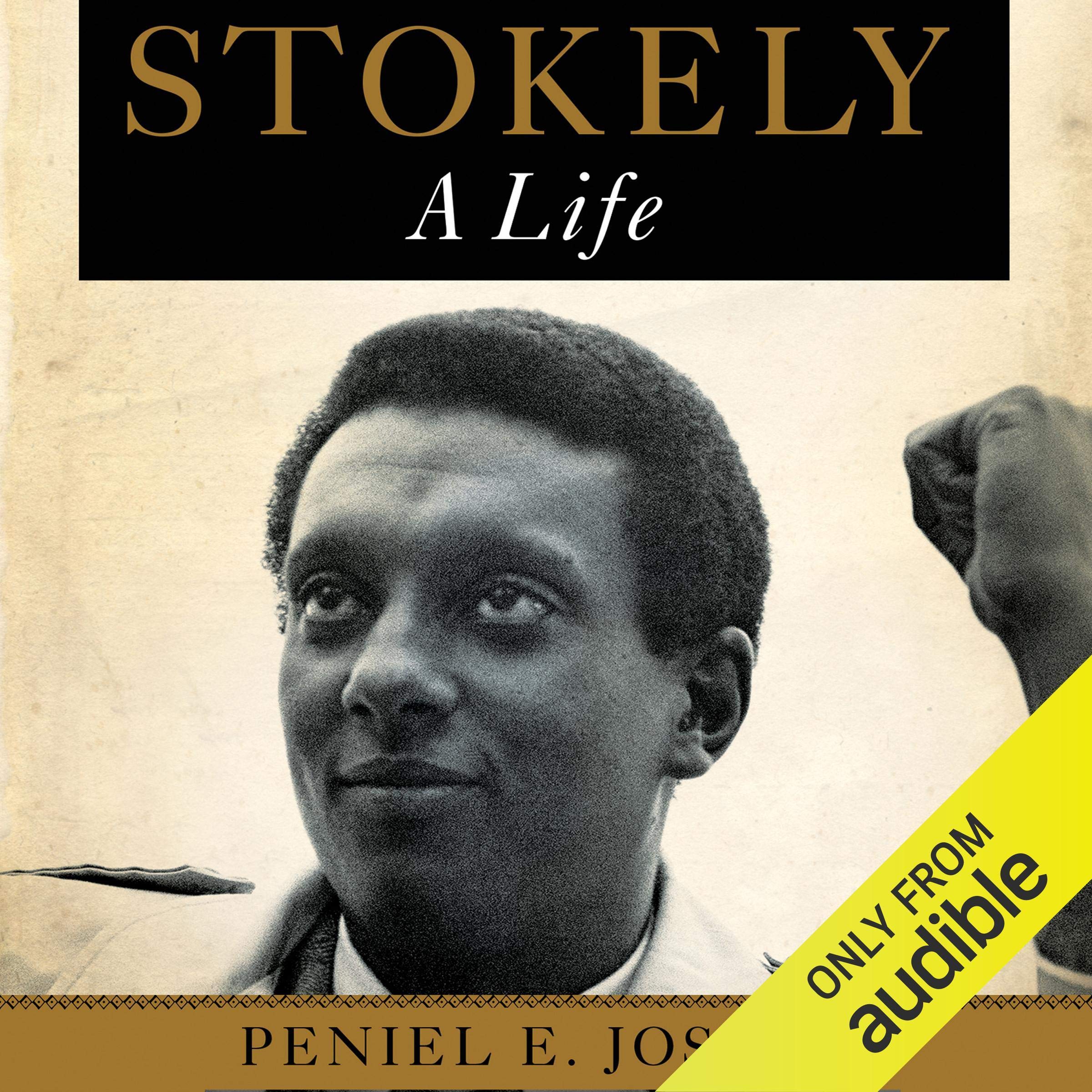 Cover art for Stokely: A Life
