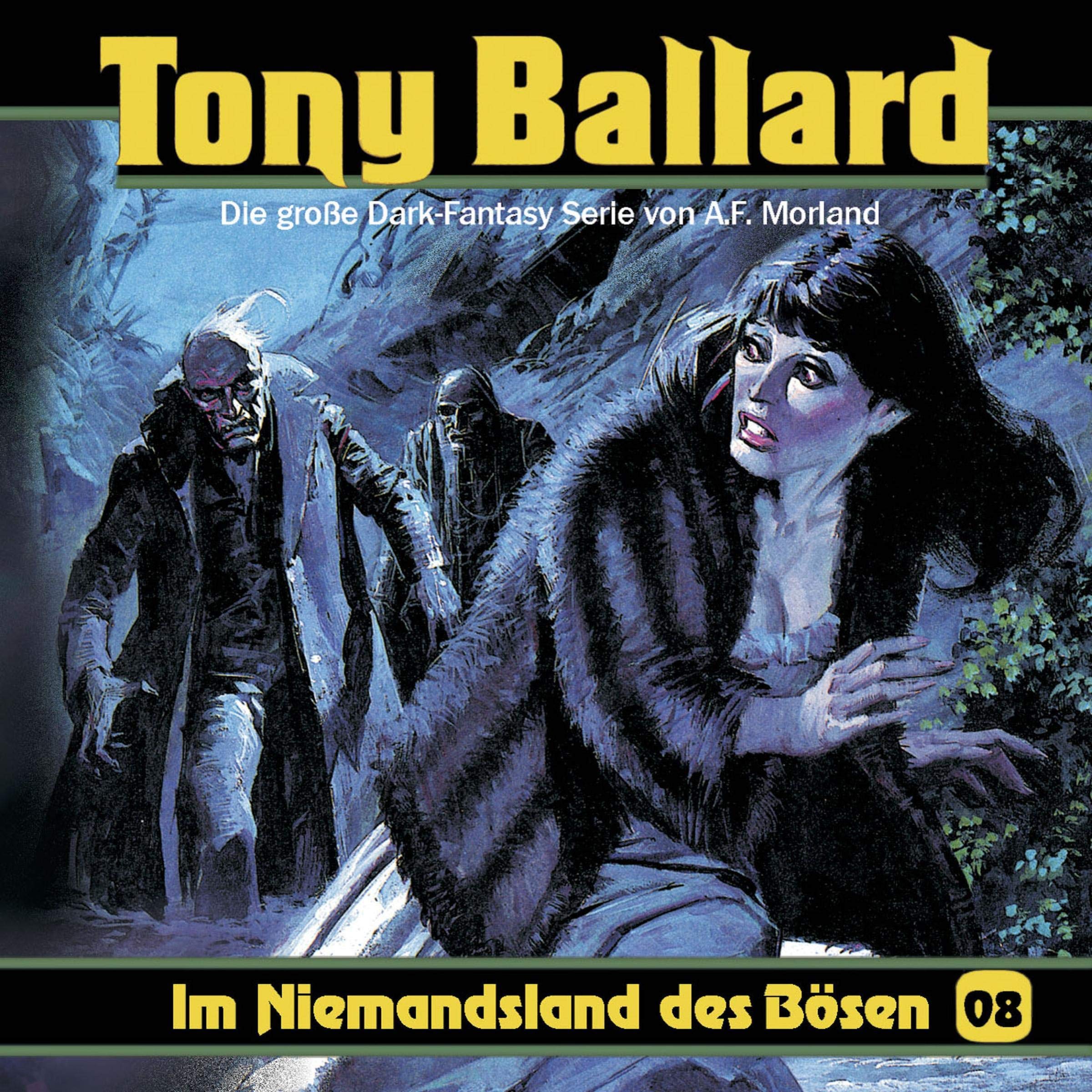 Cover art for Im Niemandsland des Bösen