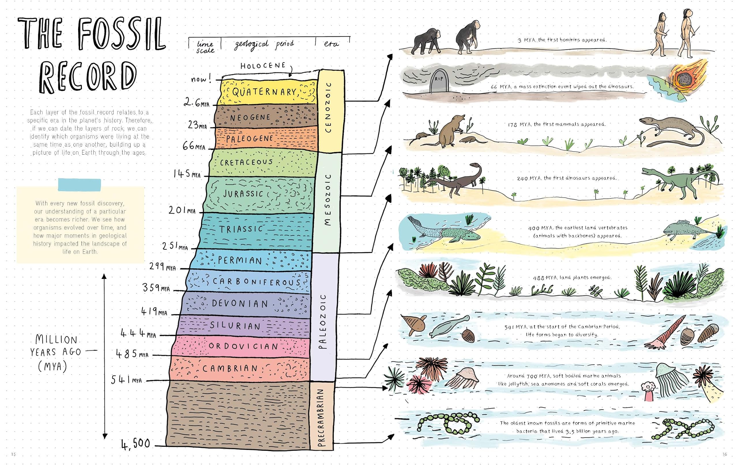 Stones and Bones: Fossils and the stories they tell