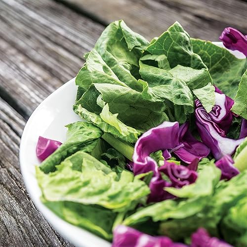 Miniatura 3 de Park Seed Summer Glory Blend - Semillas de lechuga, Butterhead, Crisphead, Loose-Leaf y Romaine, paquete de 600 semillas