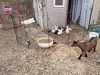 Review Image by RV'ing with Birds