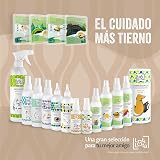 Ver la foto 7