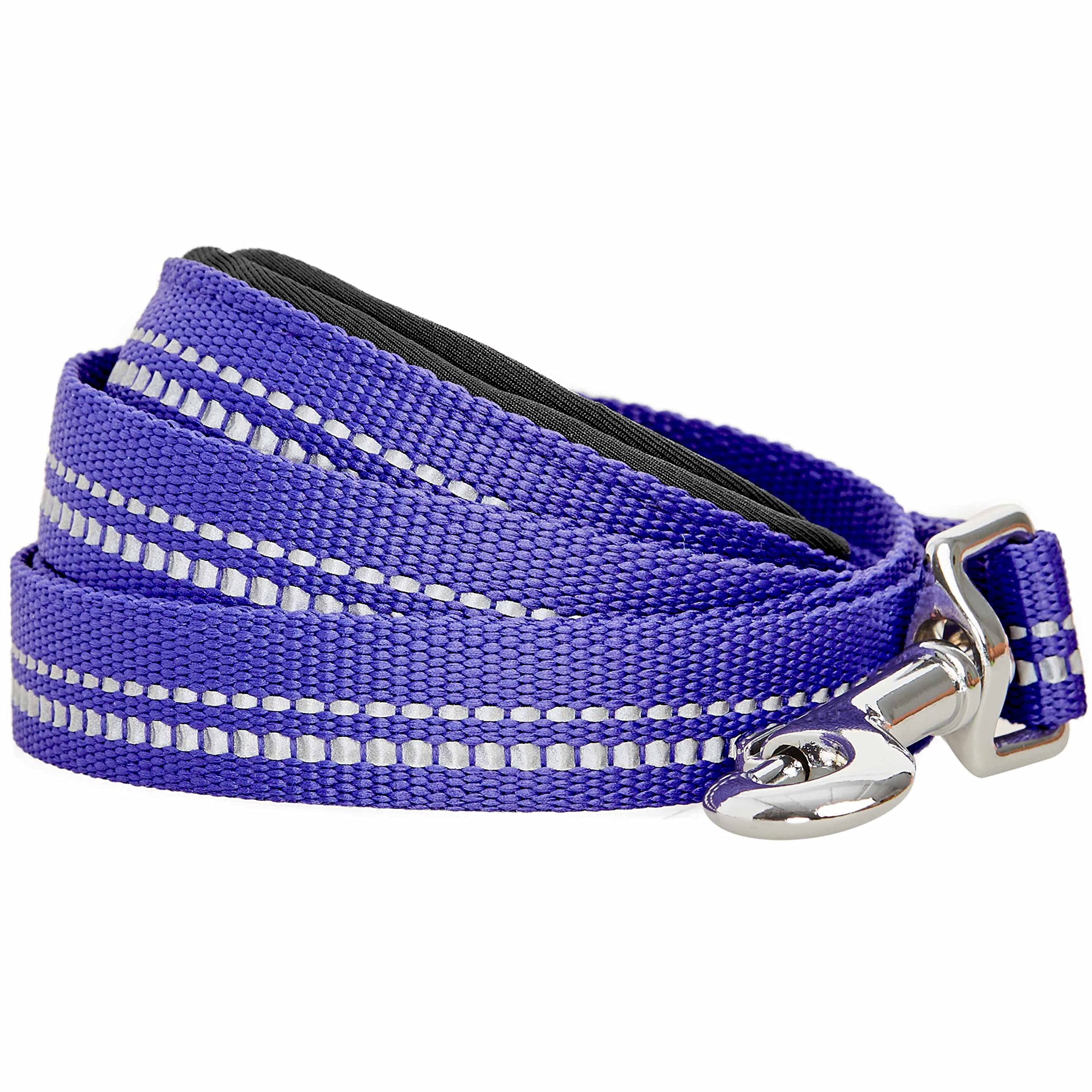 Blueberry Pet 3M Reflective Pastel Color Dog Leash with Soft & Comfortable Handle, 4 ft x 1", Violet, Large, Leashes for Dogs