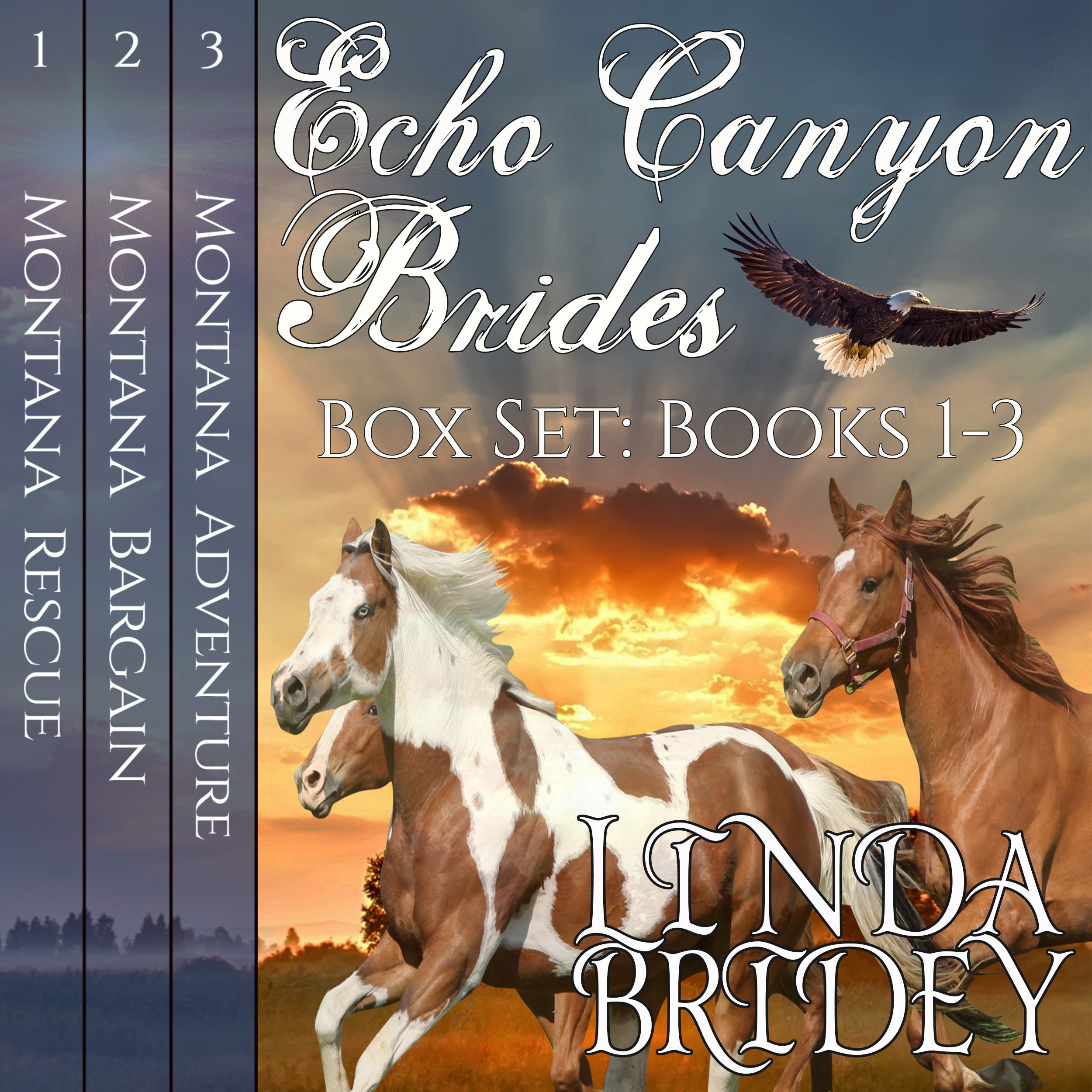 Cover art for Echo Canyon Brides Box Set