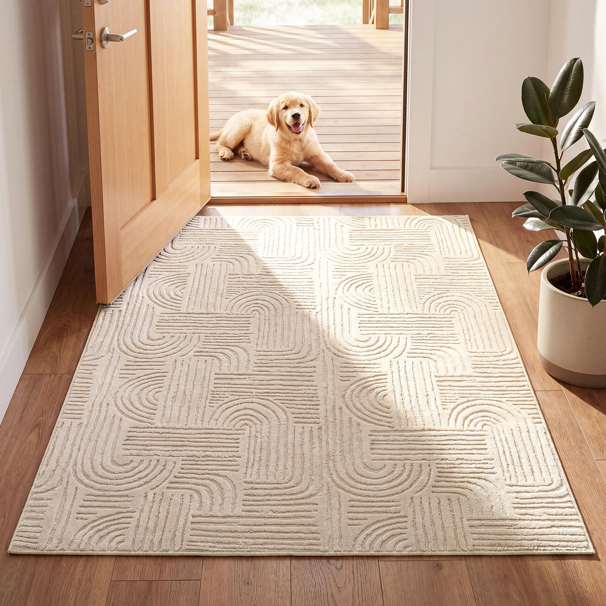 Tapis anti-tache lavable résoud le problème d'entretien du salon