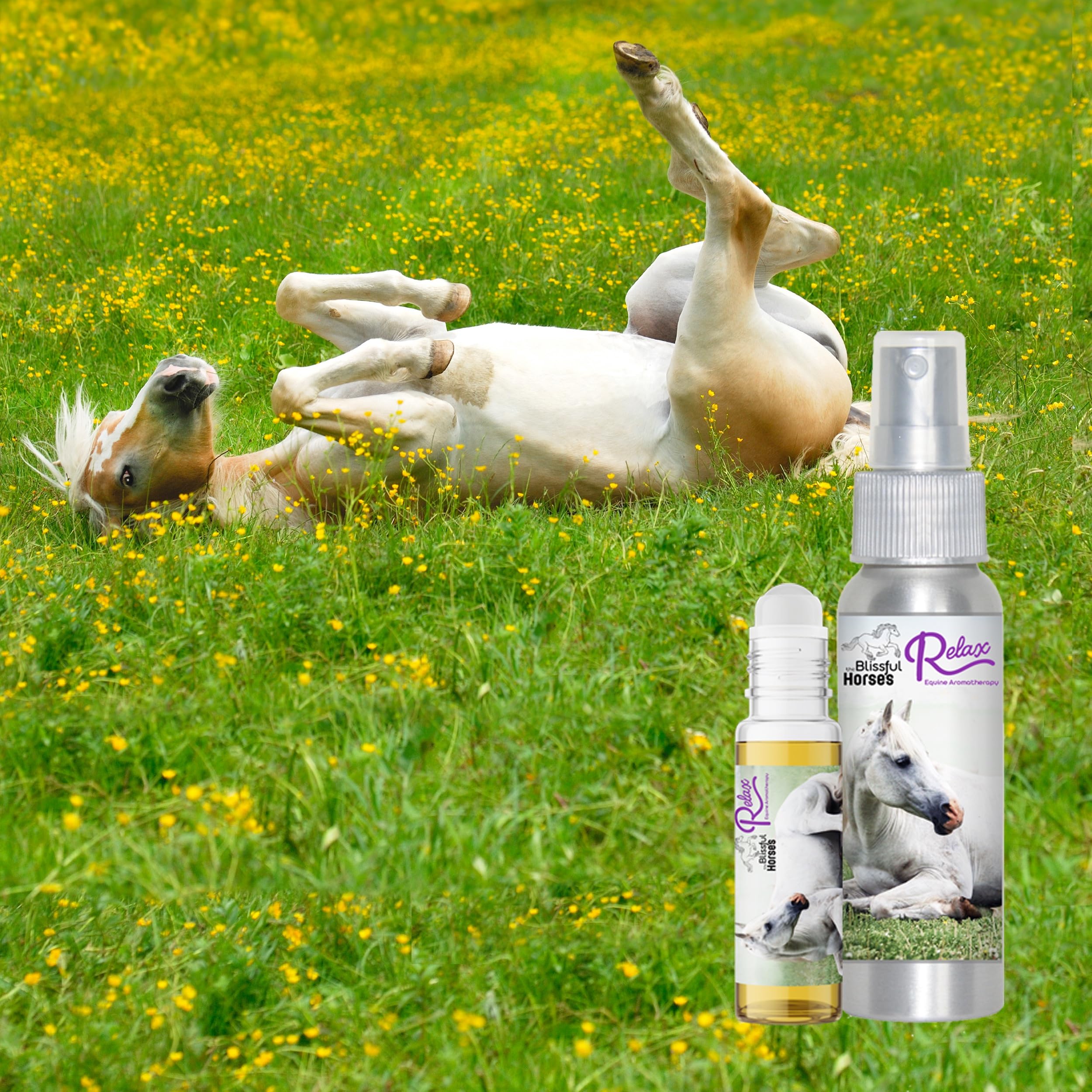 The Blissful Horses Relax Spray Aromatherapy All Natural Support for Your Horse's Anxiety - image 3